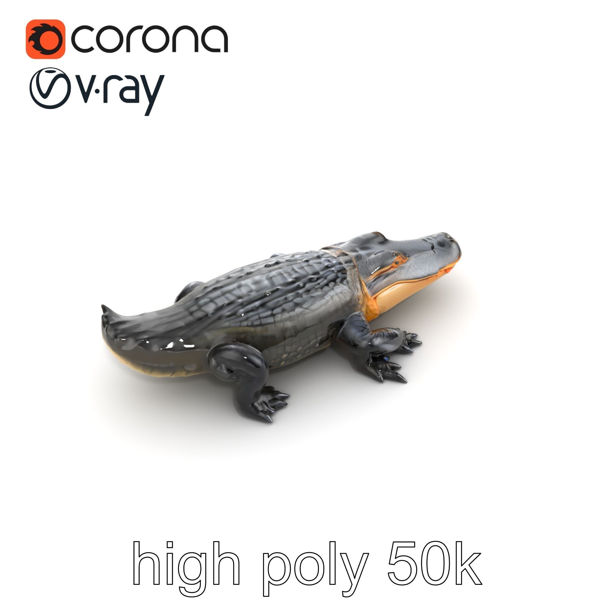 American Alligator D Model Pack with Detailed Textures Low-poly 3D model_31