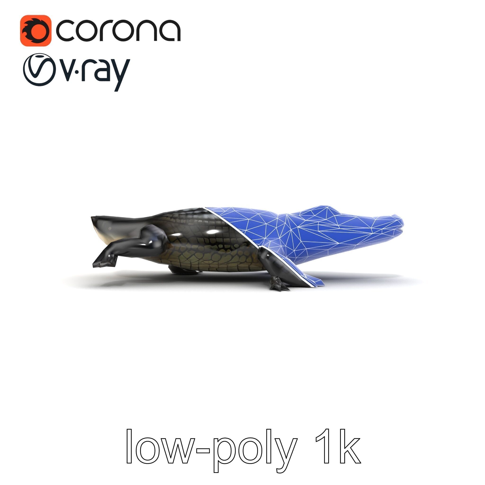 American Alligator D Model Pack with Detailed Textures Low-poly 3D model_18