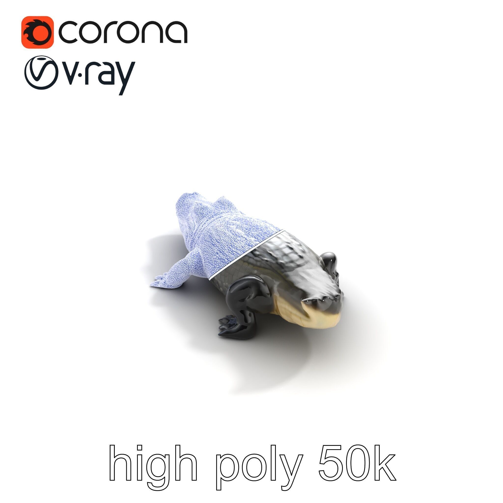 American Alligator D Model Pack with Detailed Textures Low-poly 3D model_23