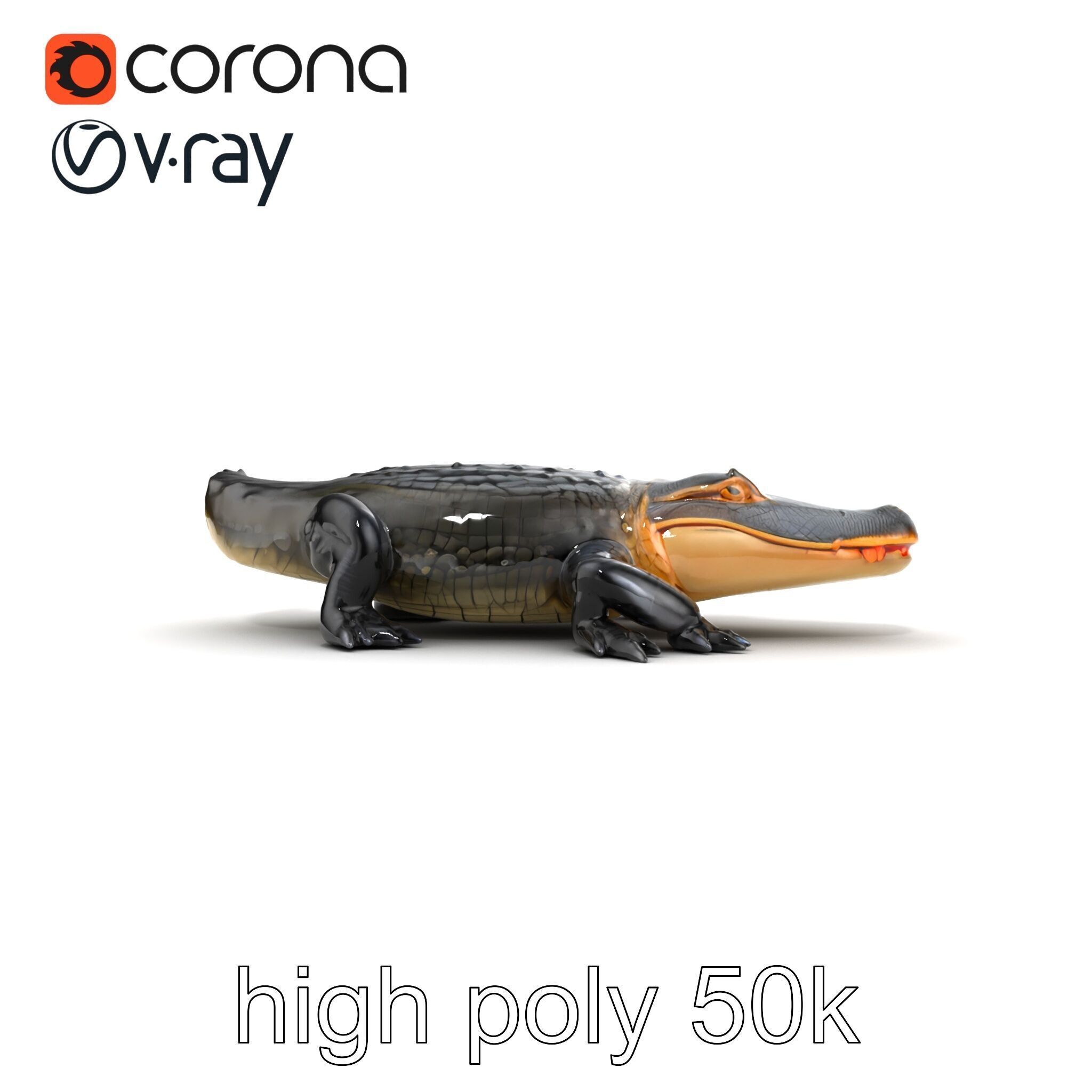 American Alligator D Model Pack with Detailed Textures Low-poly 3D model_16