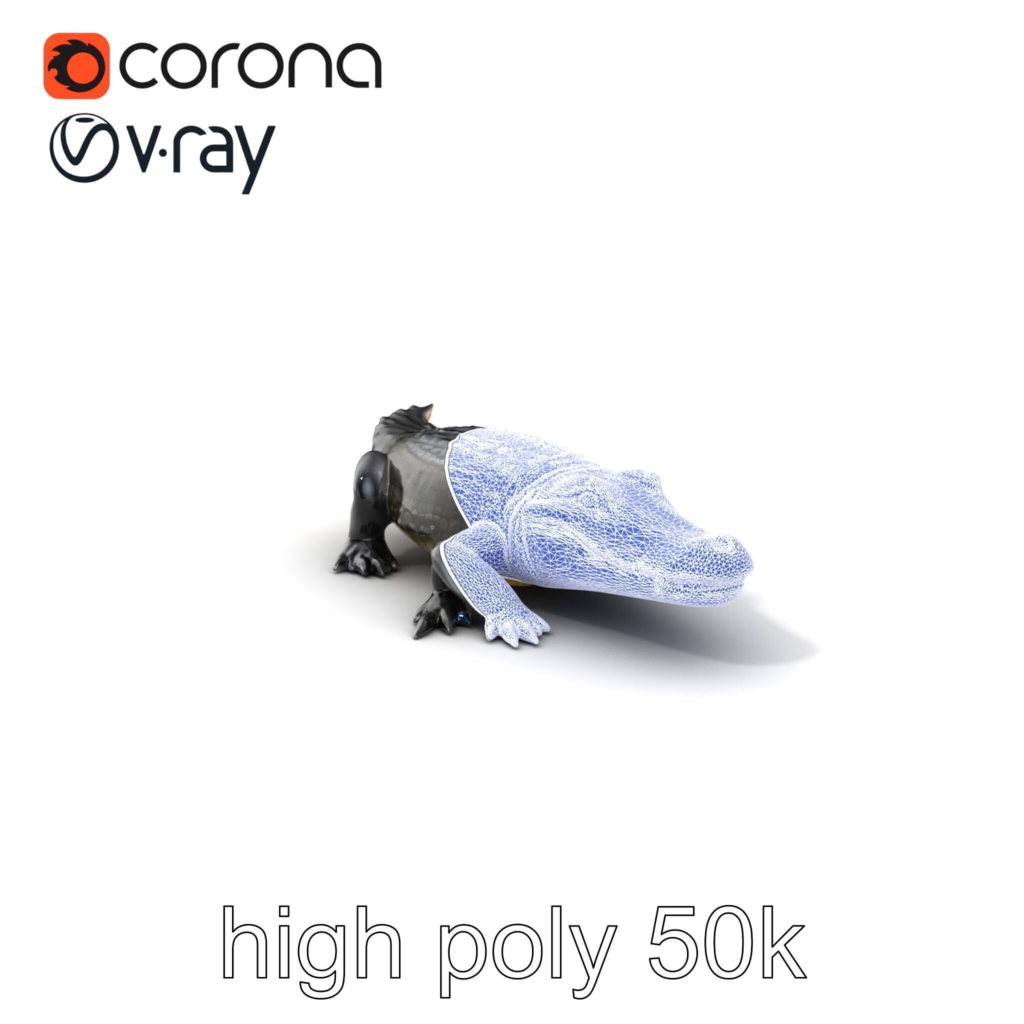 American Alligator D Model Pack with Detailed Textures Low-poly 3D model_10