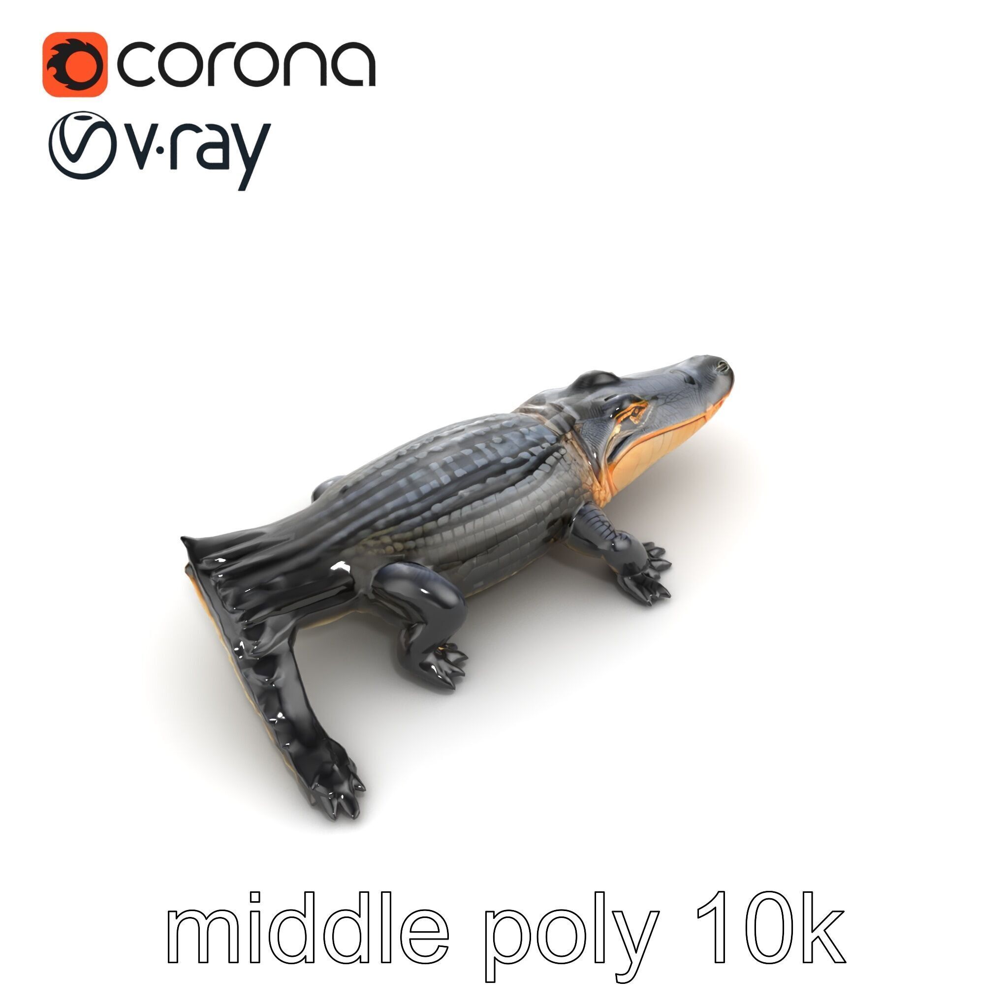 American Alligator D Model Pack with Detailed Textures Low-poly 3D model_27