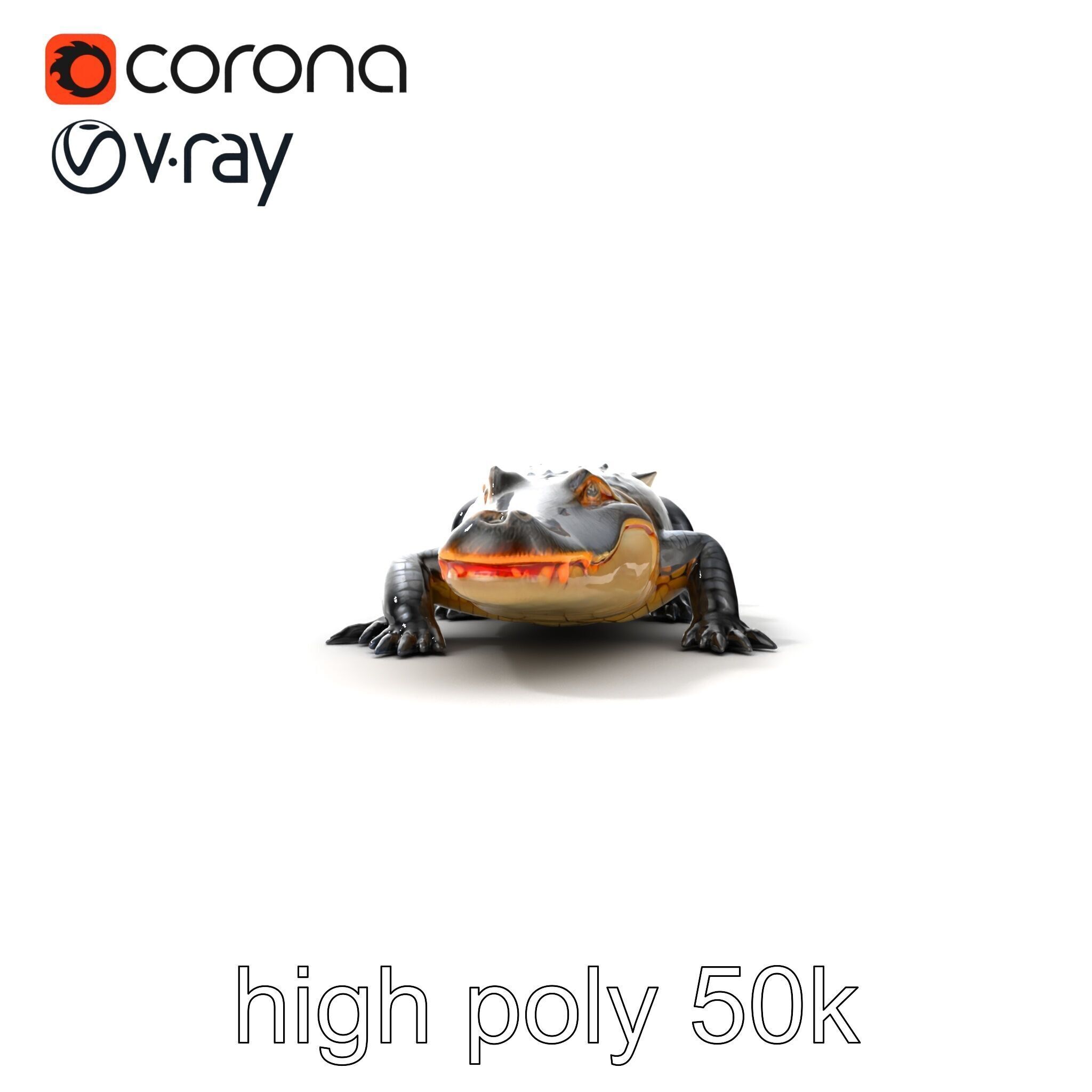 American Alligator D Model Pack with Detailed Textures Low-poly 3D model_26