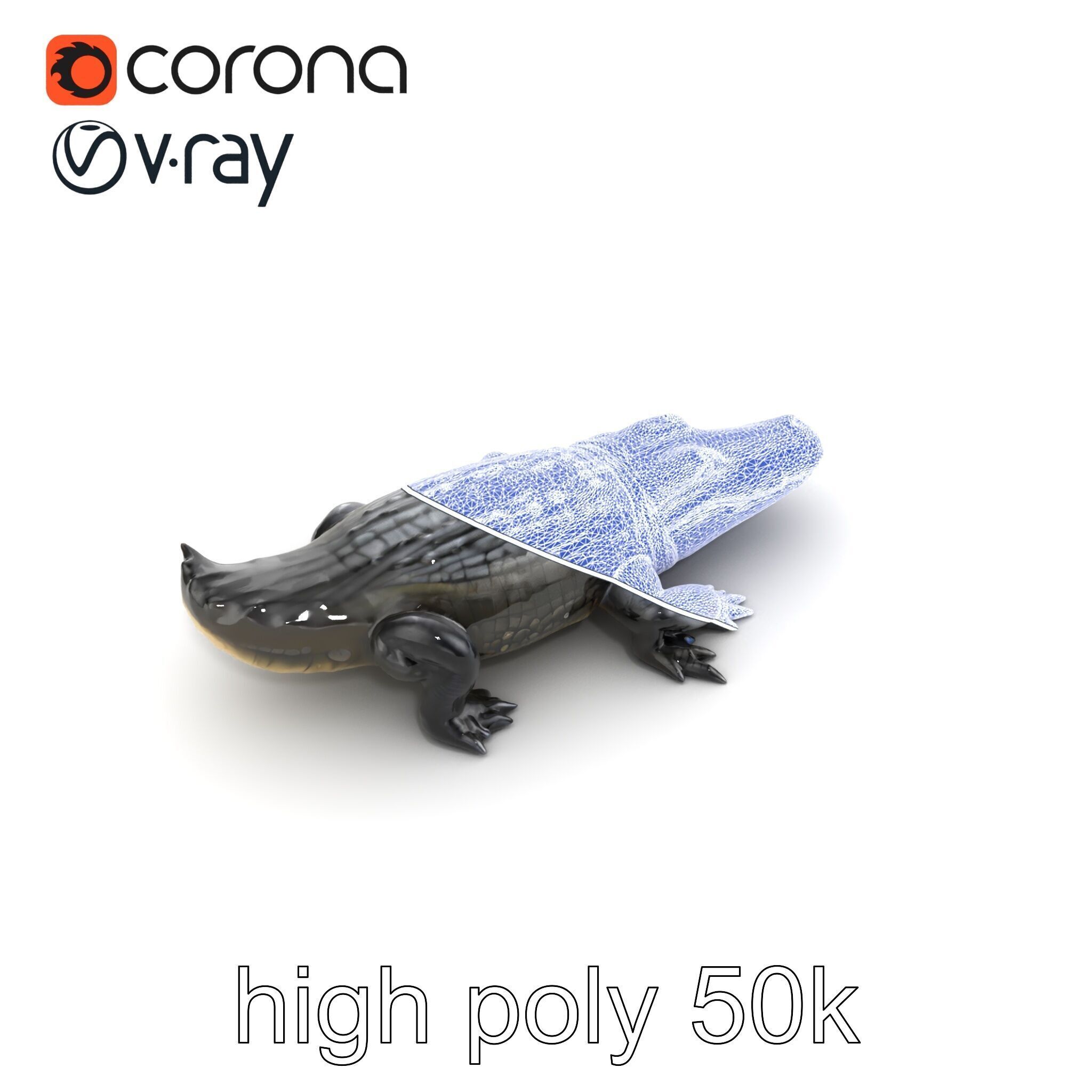 American Alligator D Model Pack with Detailed Textures Low-poly 3D model_32