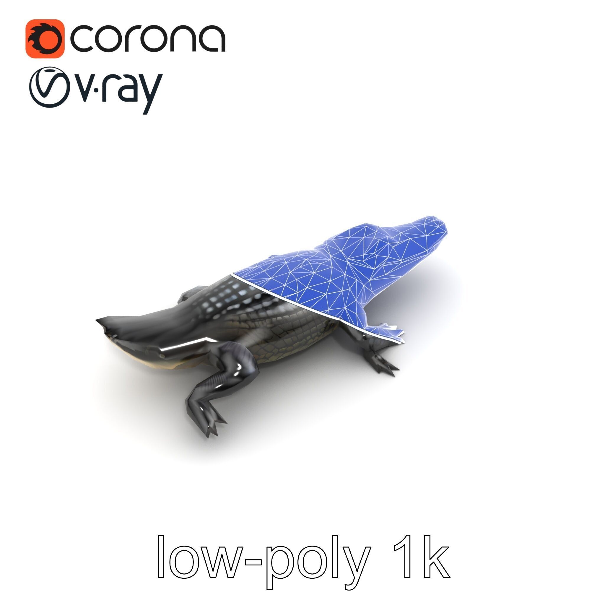 American Alligator D Model Pack with Detailed Textures Low-poly 3D model_25