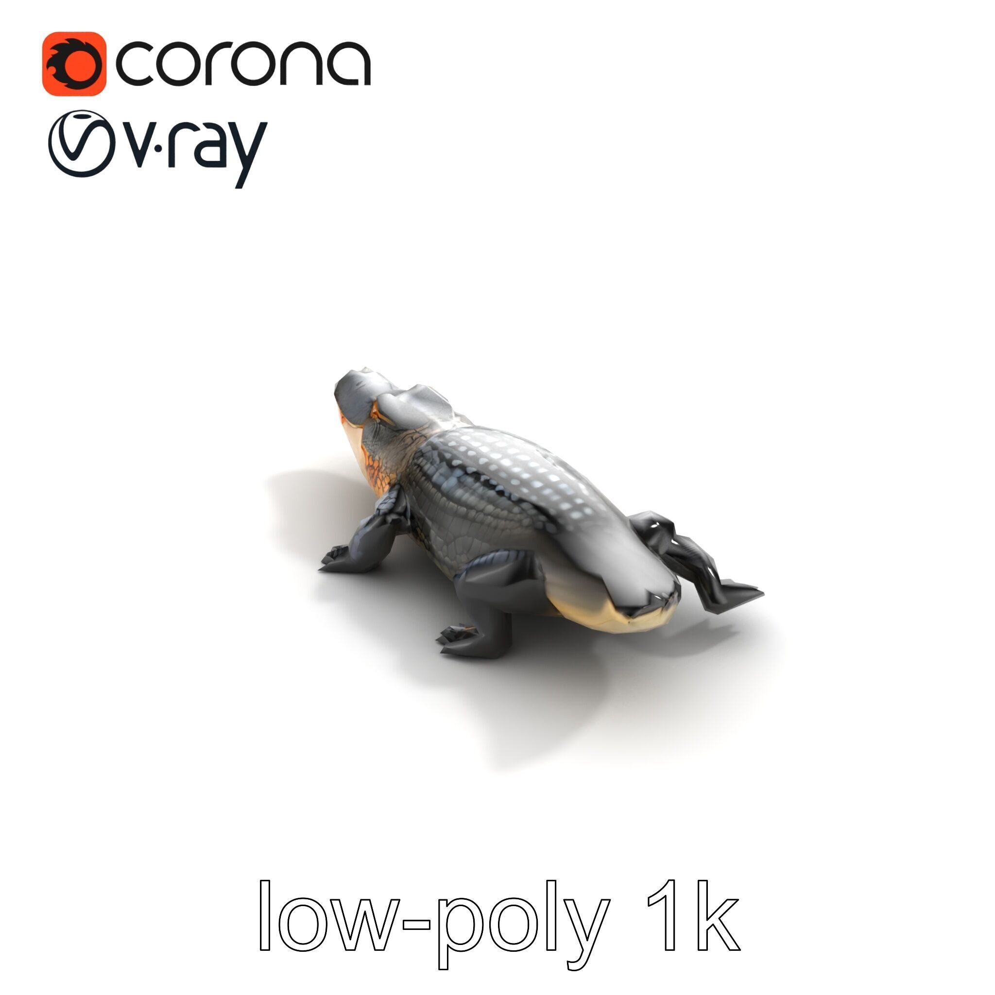 American Alligator D Model Pack with Detailed Textures Low-poly 3D model_9