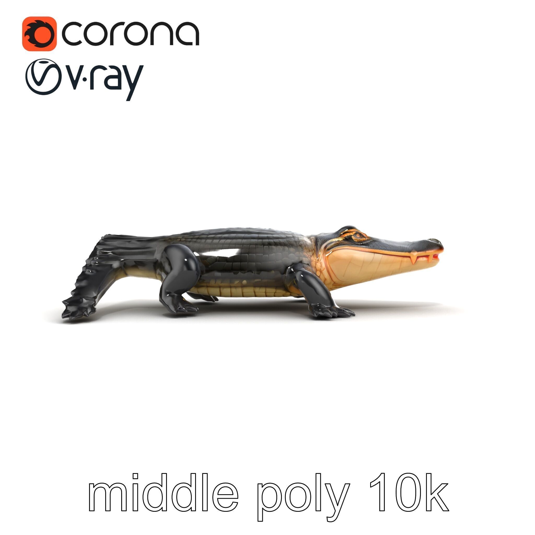 American Alligator D Model Pack with Detailed Textures Low-poly 3D model_12