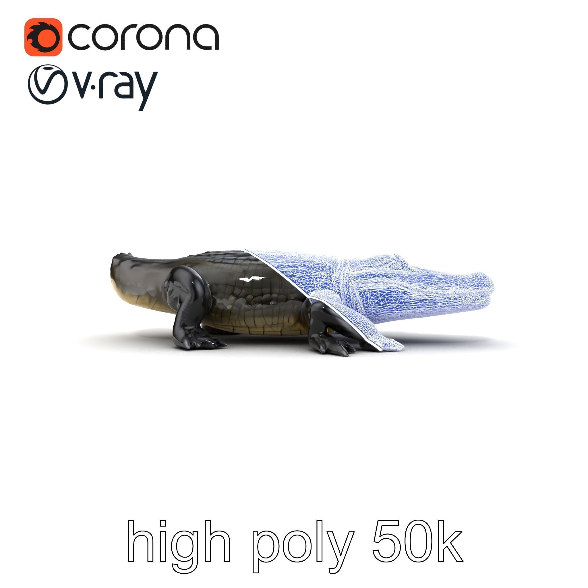 American Alligator D Model Pack with Detailed Textures Low-poly 3D model_20