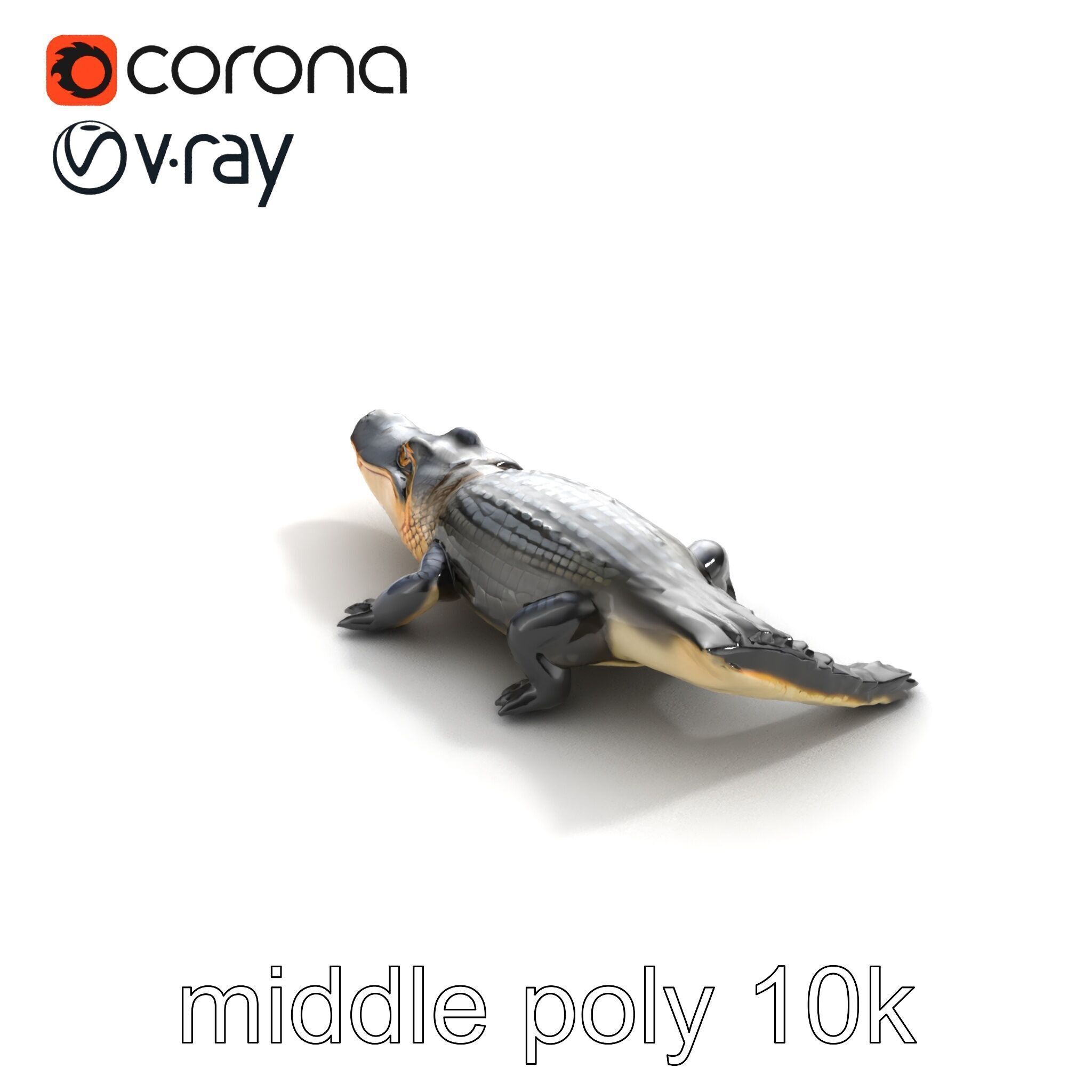 American Alligator D Model Pack with Detailed Textures Low-poly 3D model_8