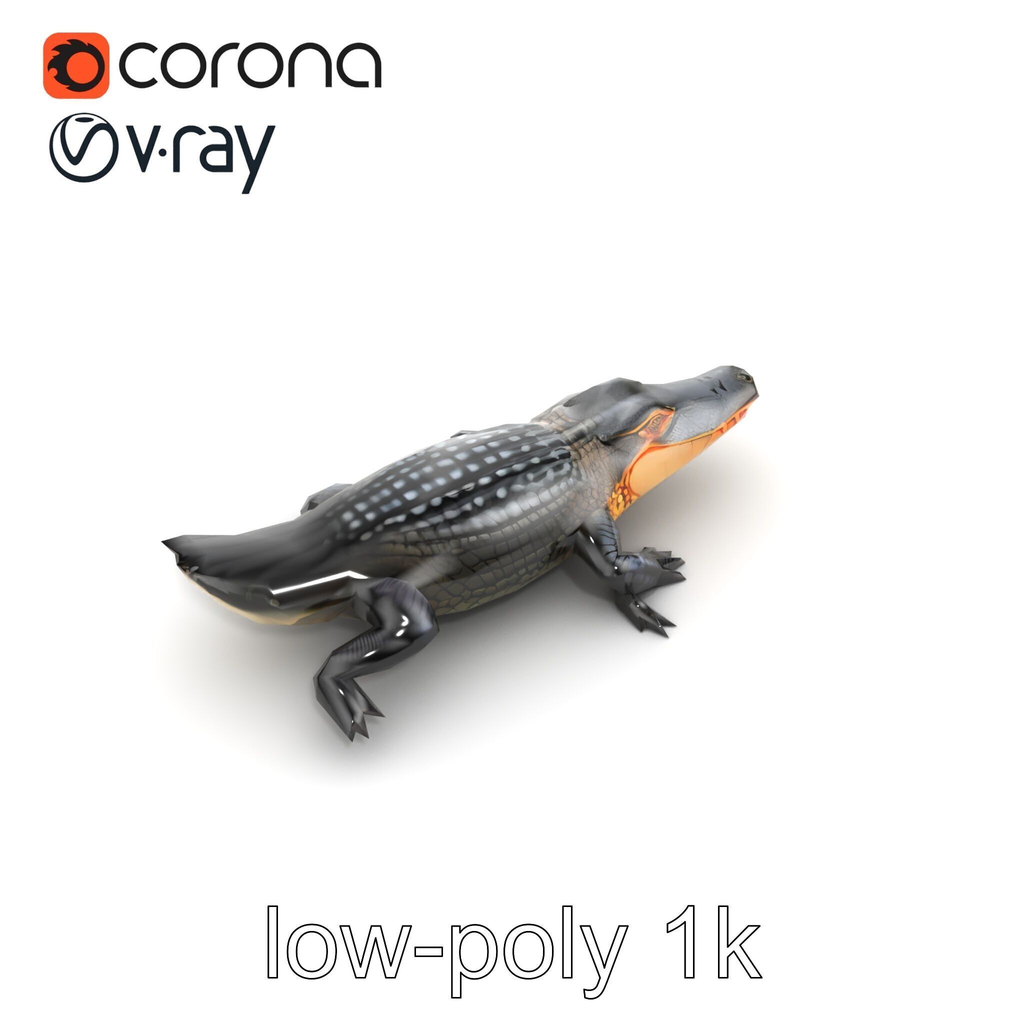 American Alligator D Model Pack with Detailed Textures Low-poly 3D model_17