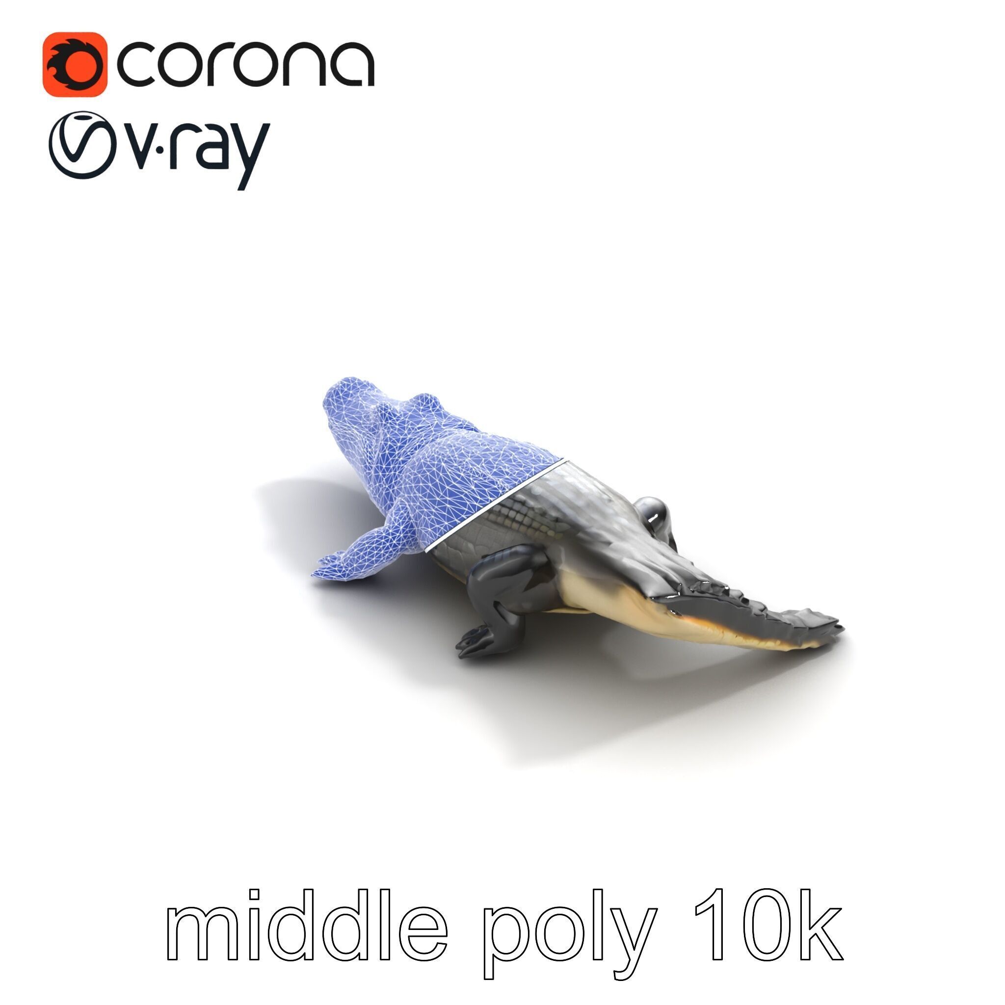 American Alligator D Model Pack with Detailed Textures Low-poly 3D model_11