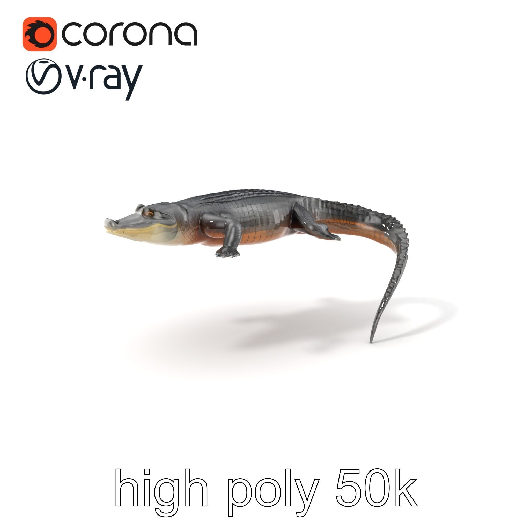 Nile Crocodile Detailed Scale Model Pack Low-poly 3D model_2