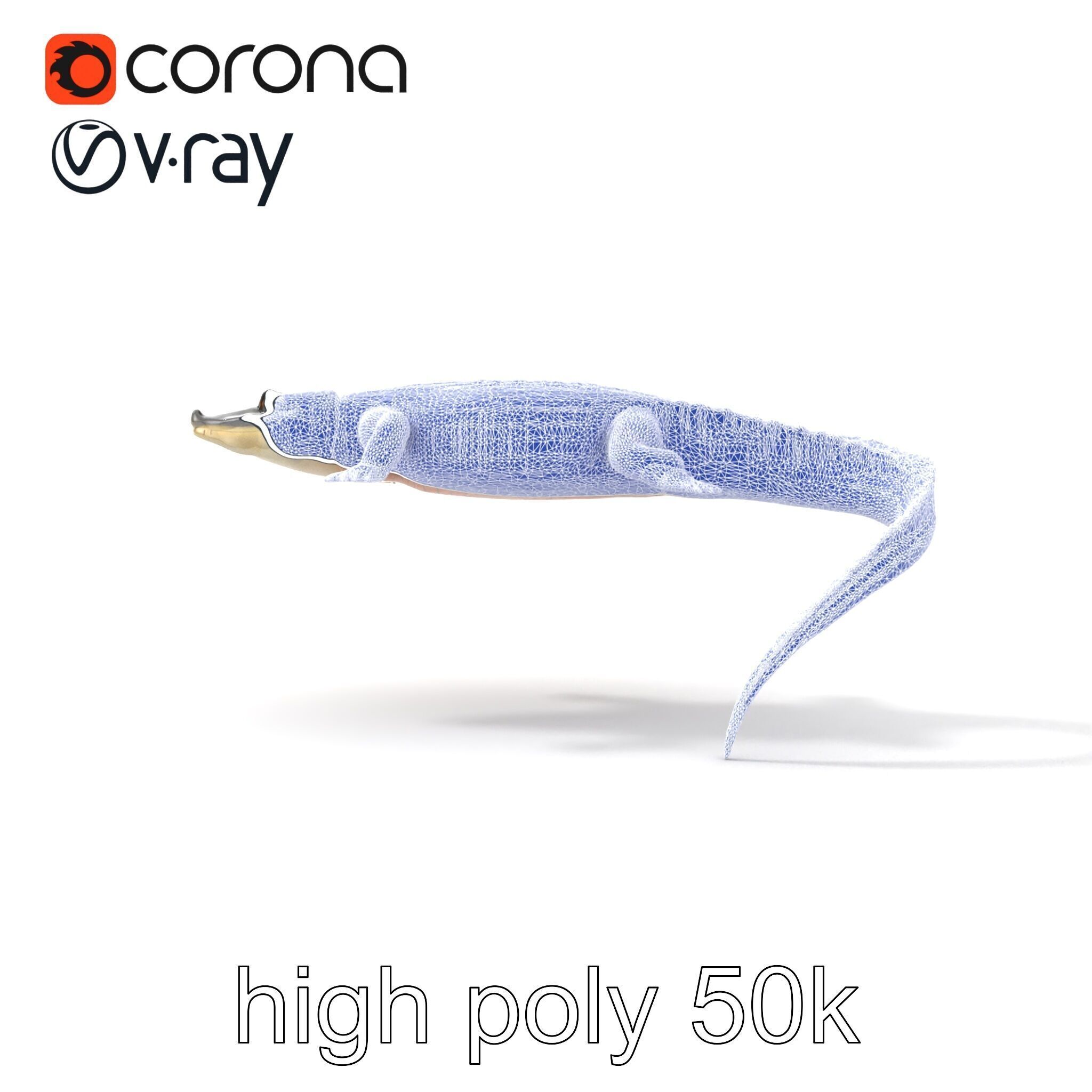 Nile Crocodile Detailed Scale Model Pack Low-poly 3D model_31