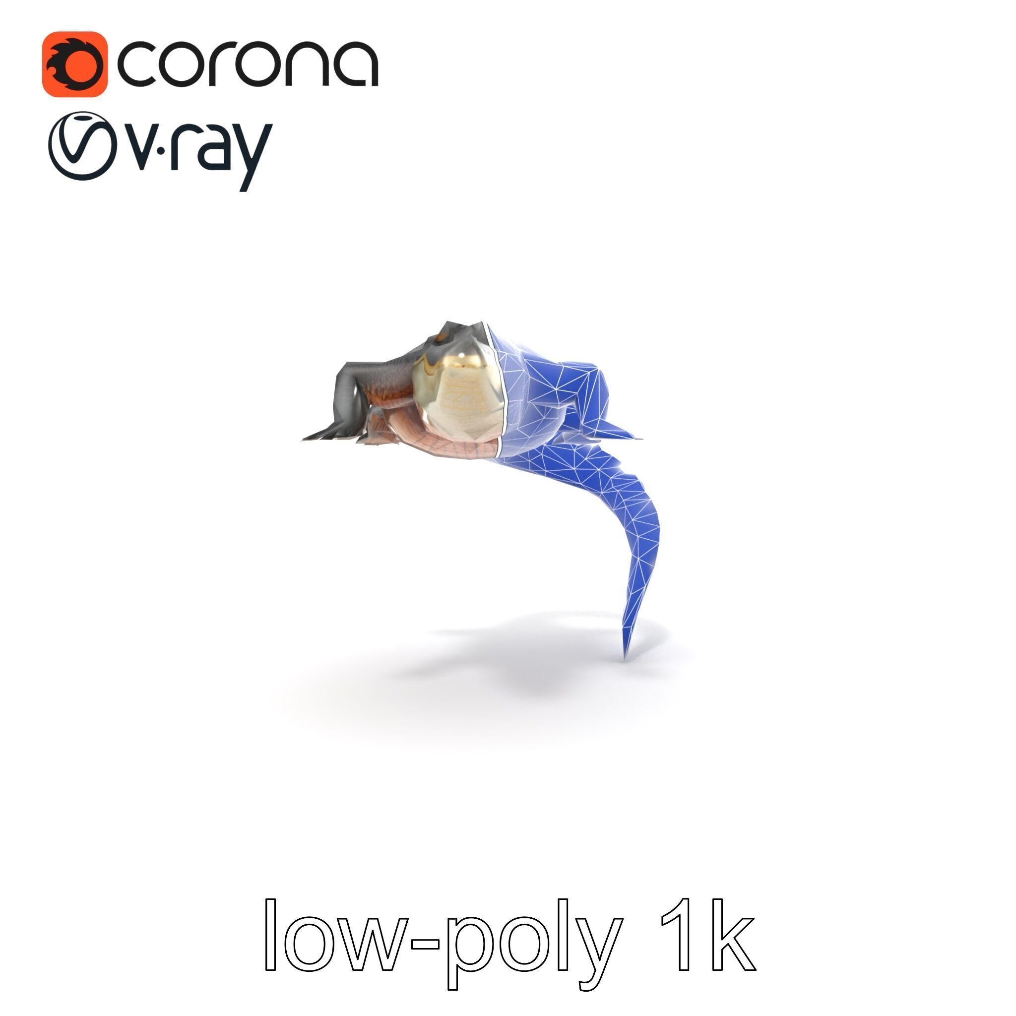 Nile Crocodile Detailed Scale Model Pack Low-poly 3D model_14