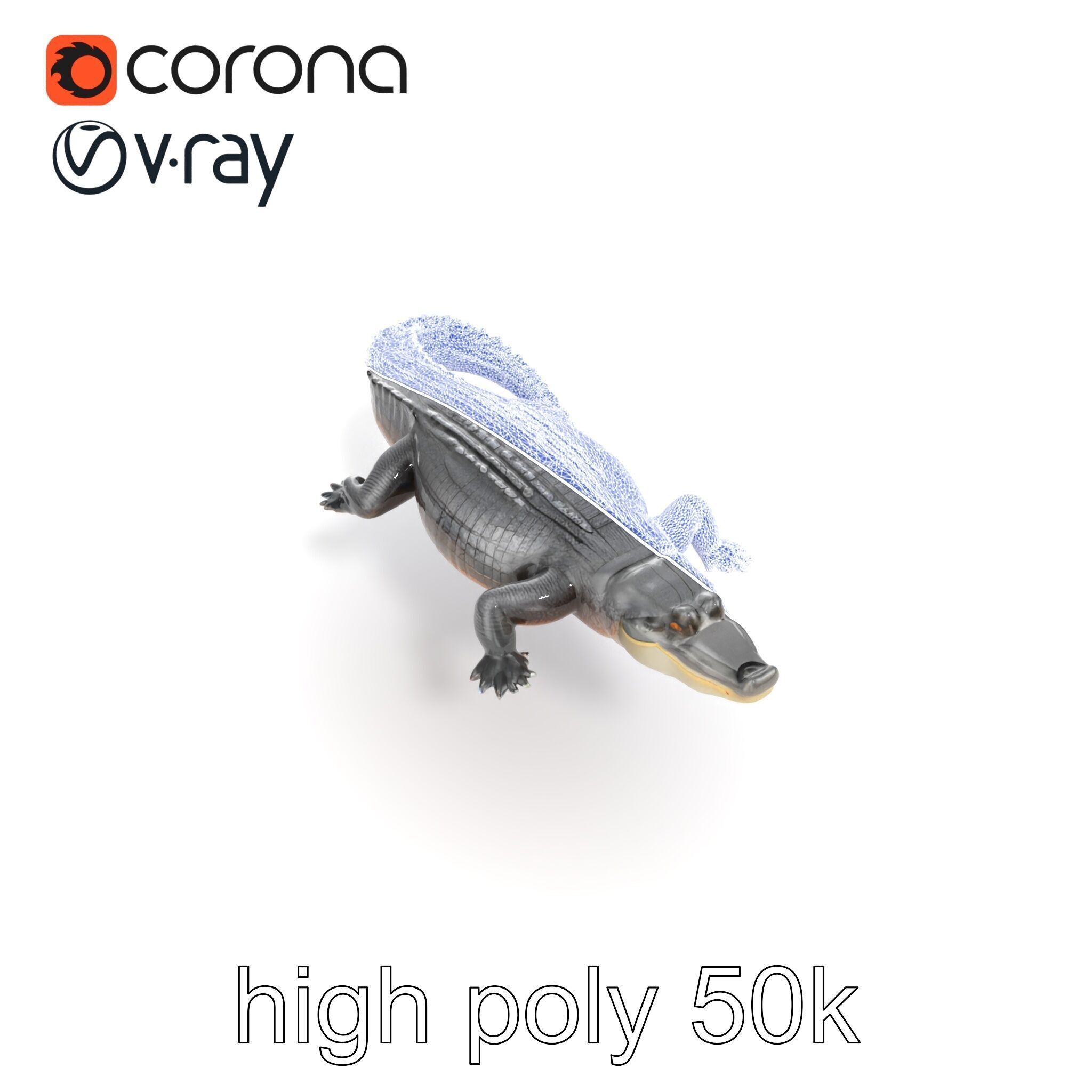 Nile Crocodile Detailed Scale Model Pack Low-poly 3D model_11