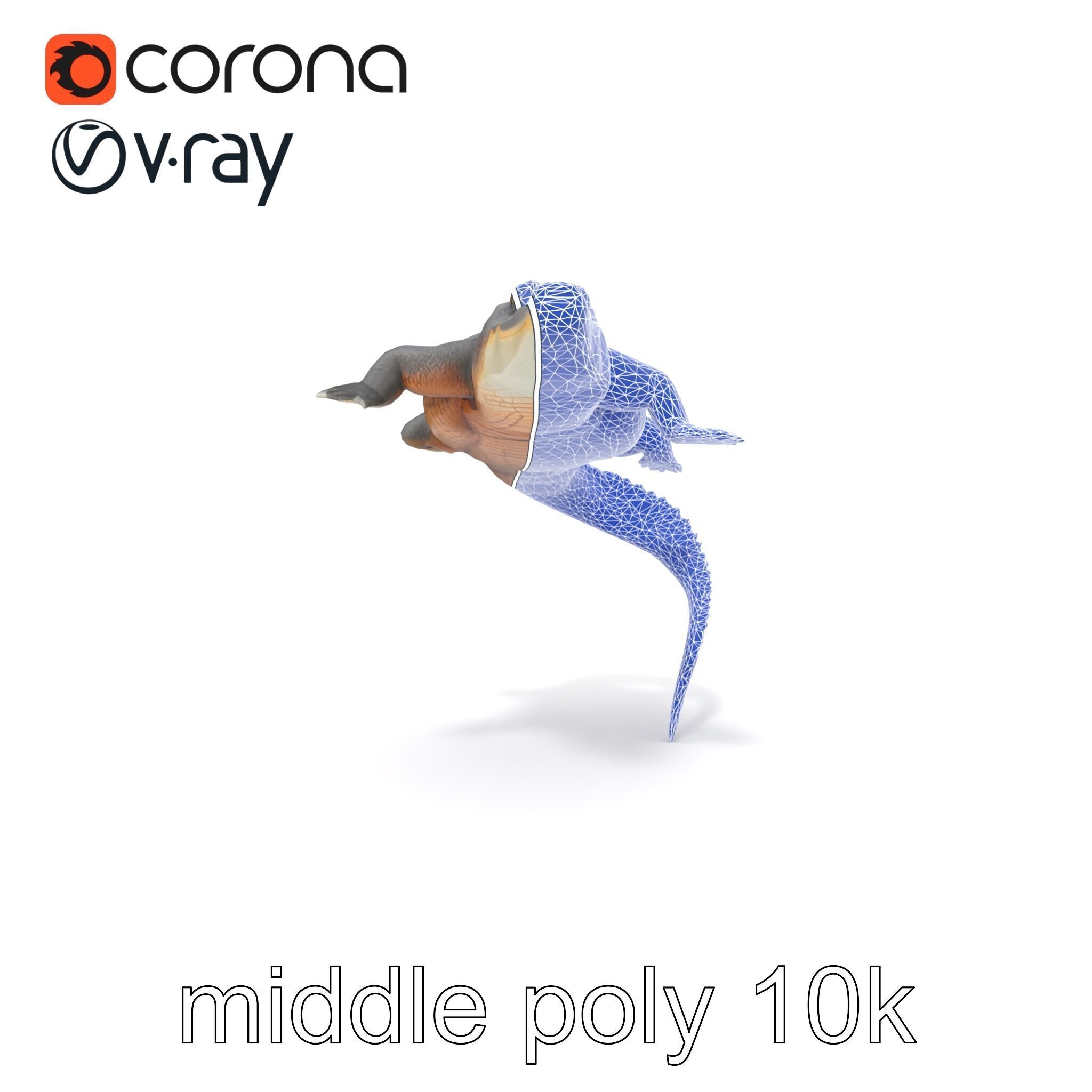 Nile Crocodile Detailed Scale Model Pack Low-poly 3D model_28