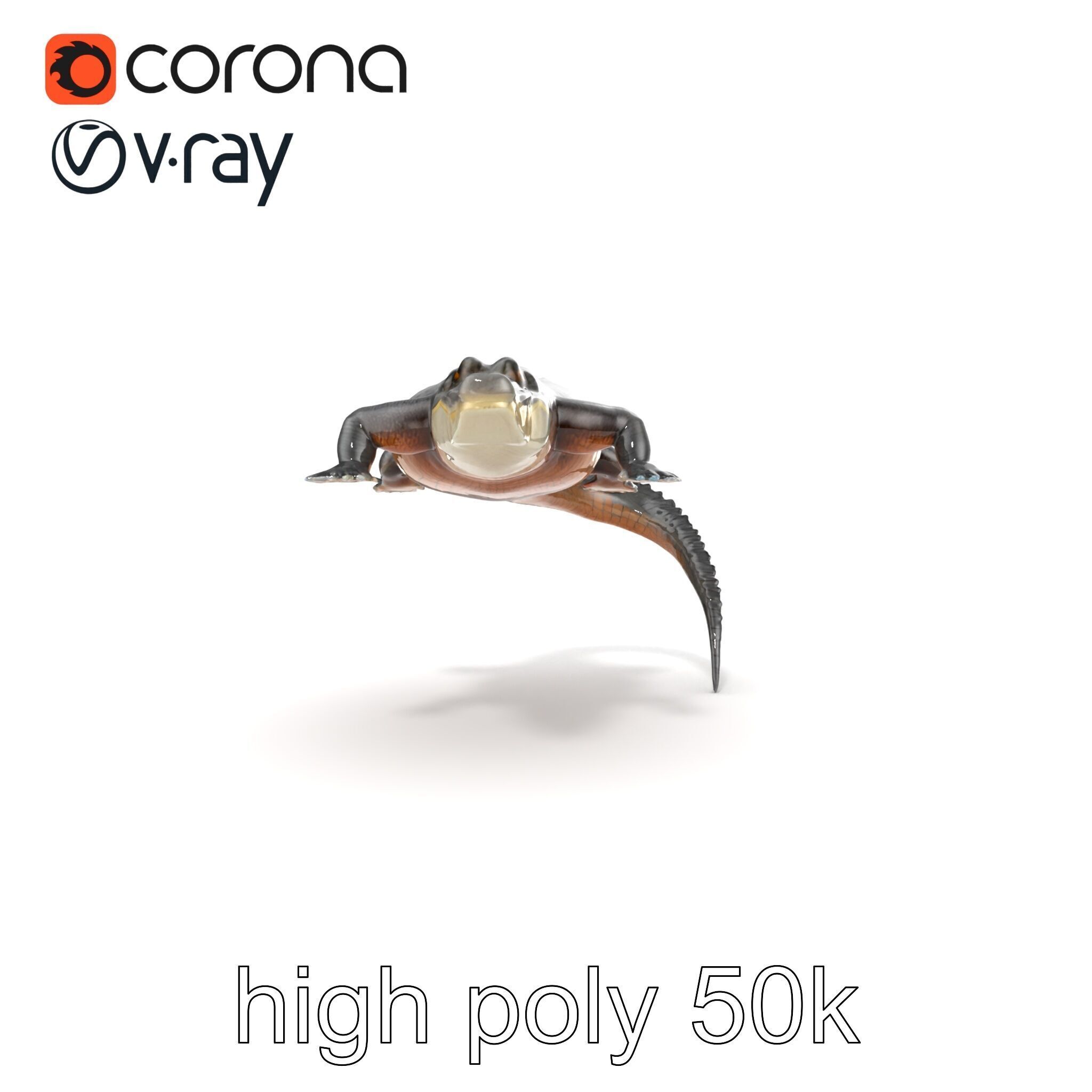 Nile Crocodile Detailed Scale Model Pack Low-poly 3D model_23