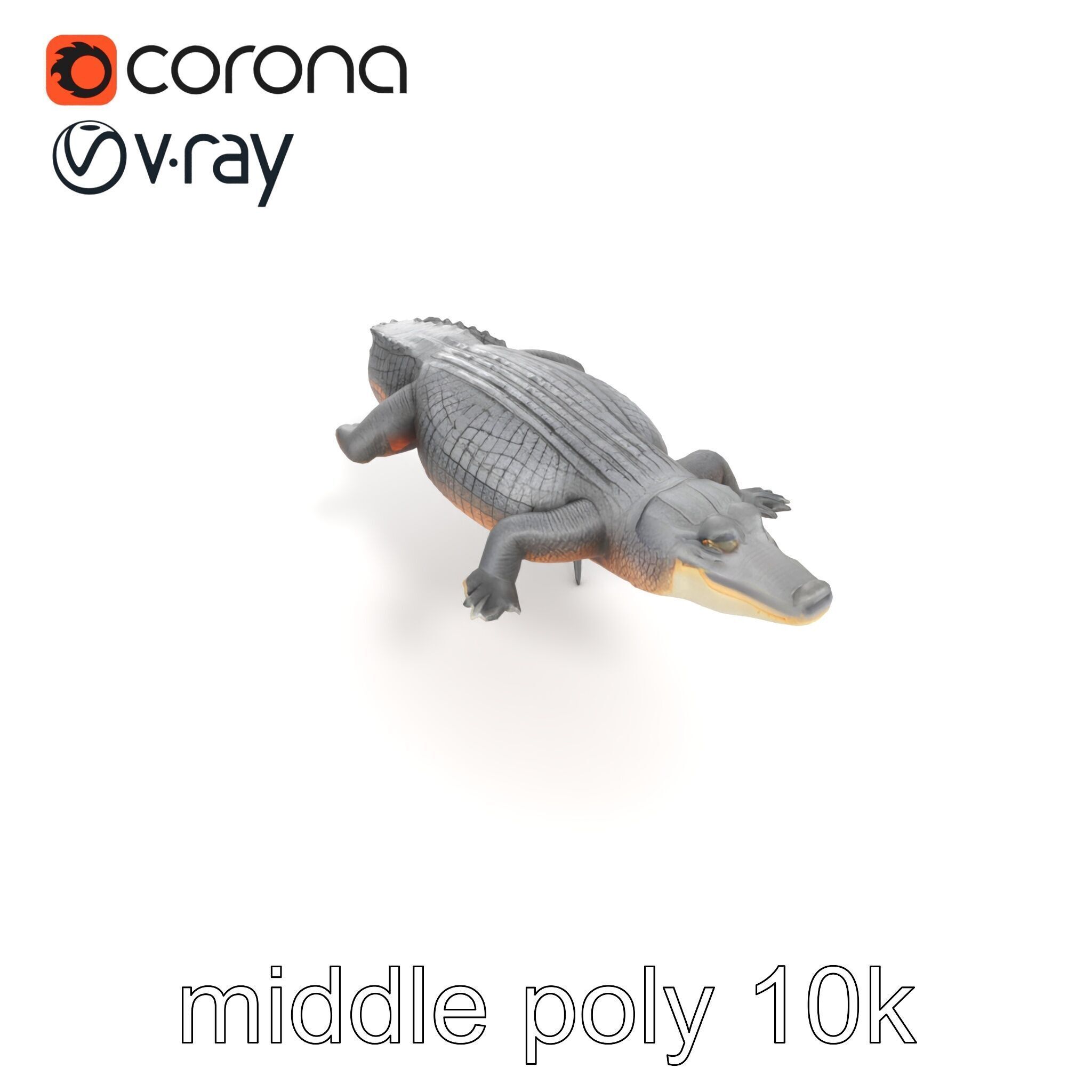 Nile Crocodile Detailed Scale Model Pack Low-poly 3D model_19