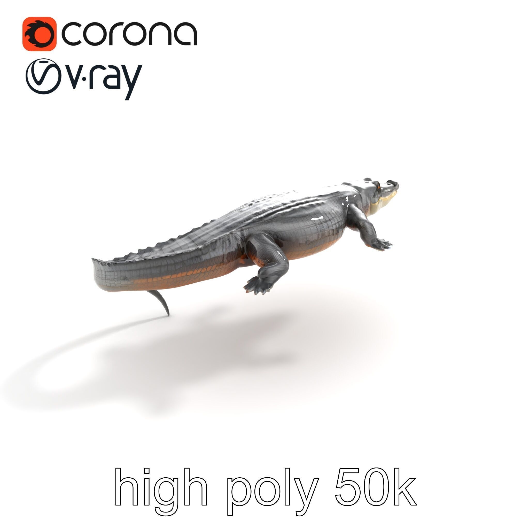 Nile Crocodile Detailed Scale Model Pack Low-poly 3D model_22
