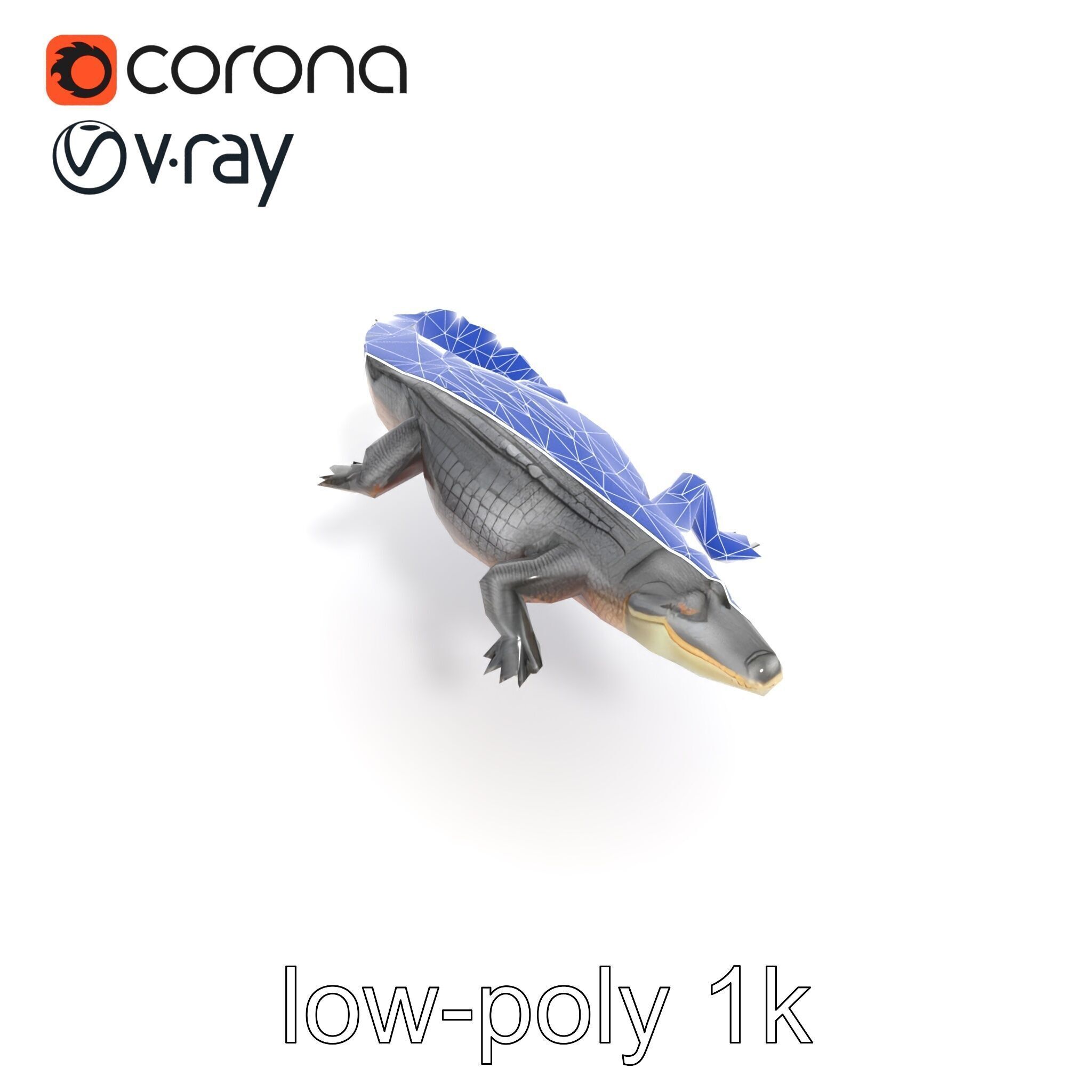 Nile Crocodile Detailed Scale Model Pack Low-poly 3D model_25