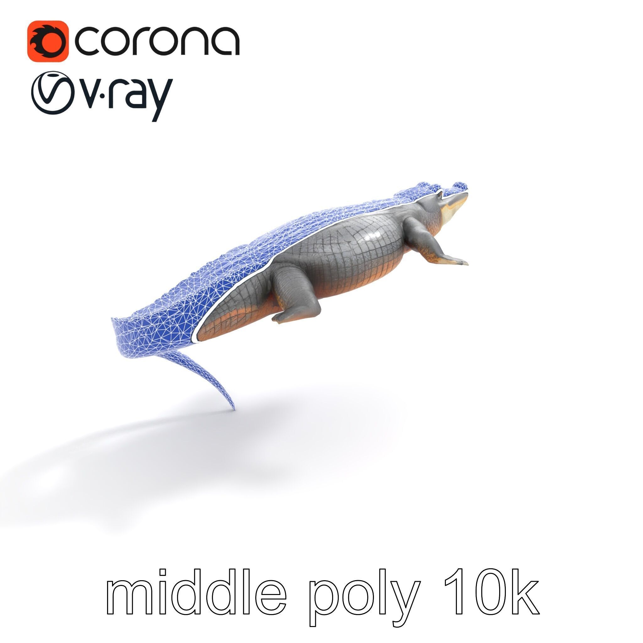 Nile Crocodile Detailed Scale Model Pack Low-poly 3D model_12