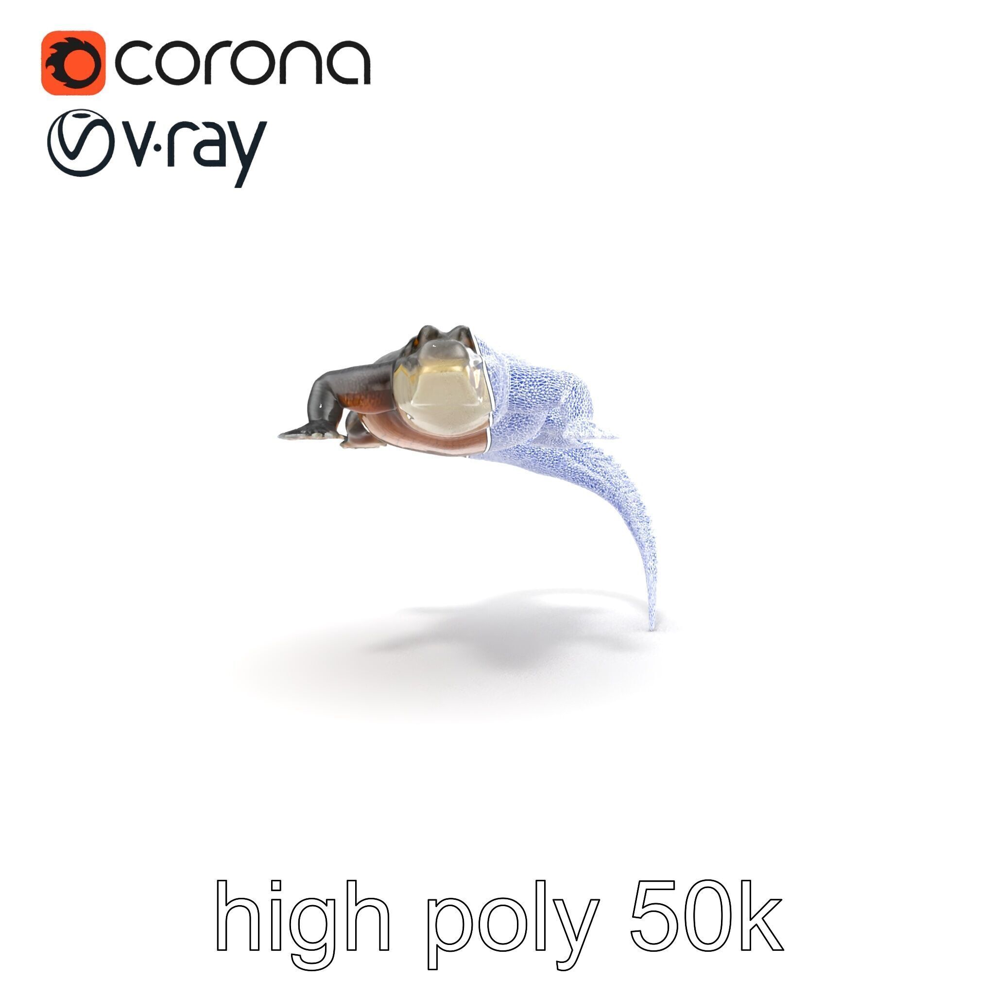 Nile Crocodile Detailed Scale Model Pack Low-poly 3D model_20