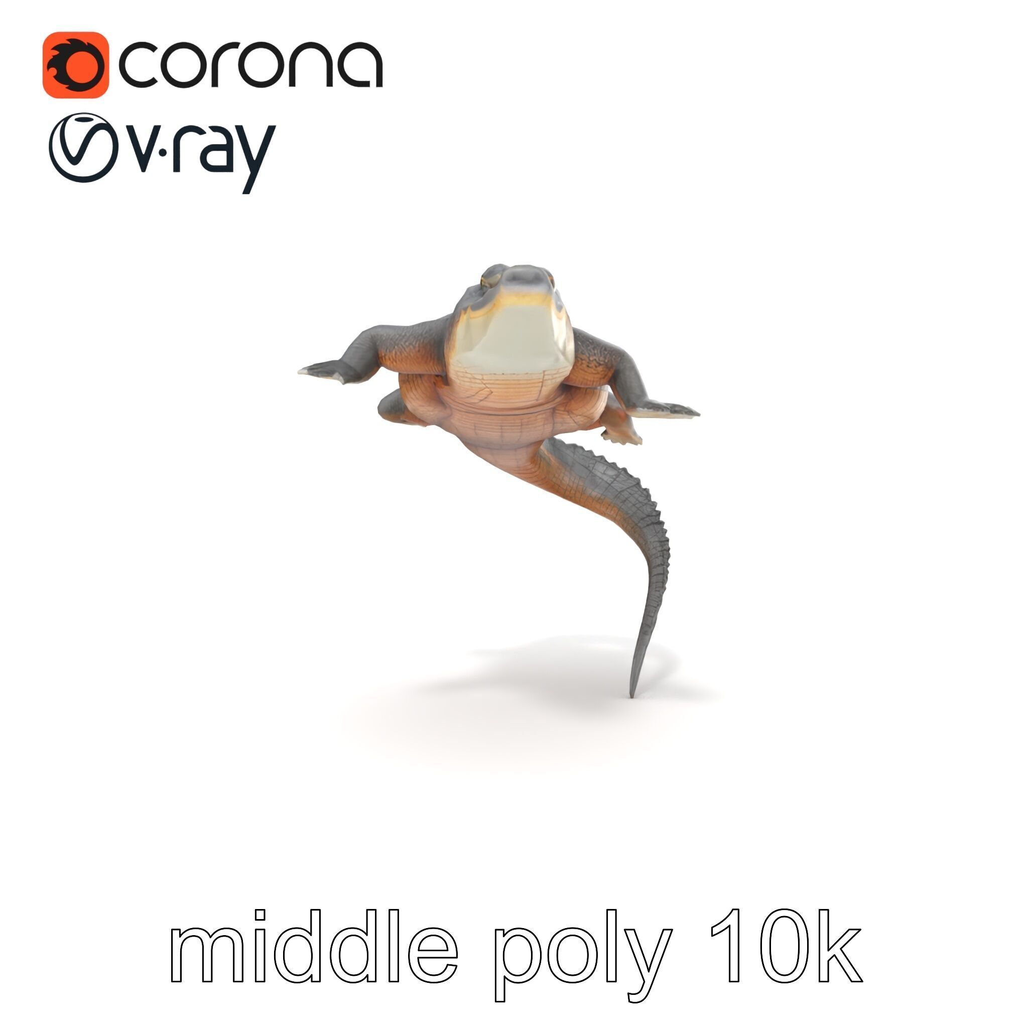 Nile Crocodile Detailed Scale Model Pack Low-poly 3D model_21