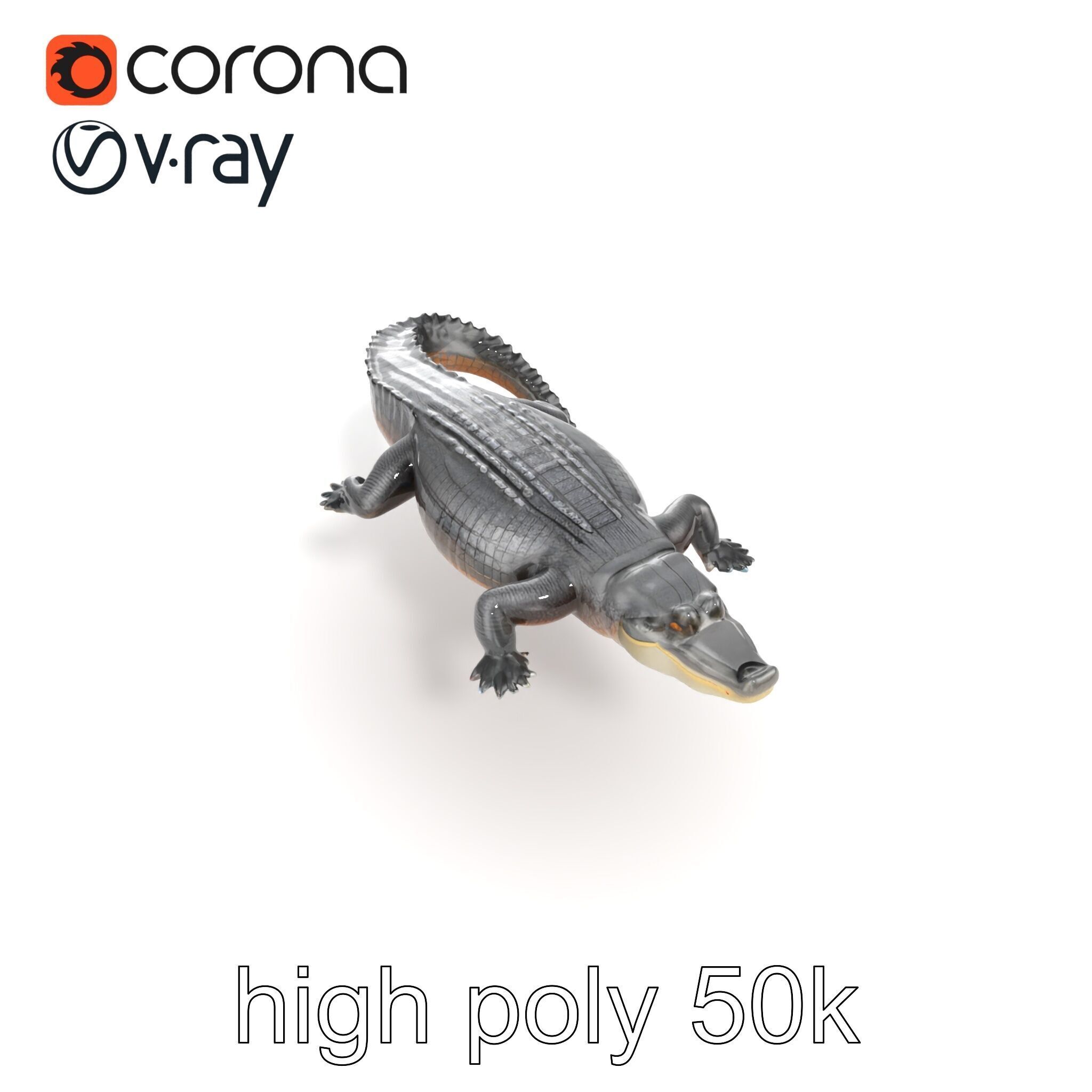 Nile Crocodile Detailed Scale Model Pack Low-poly 3D model_26