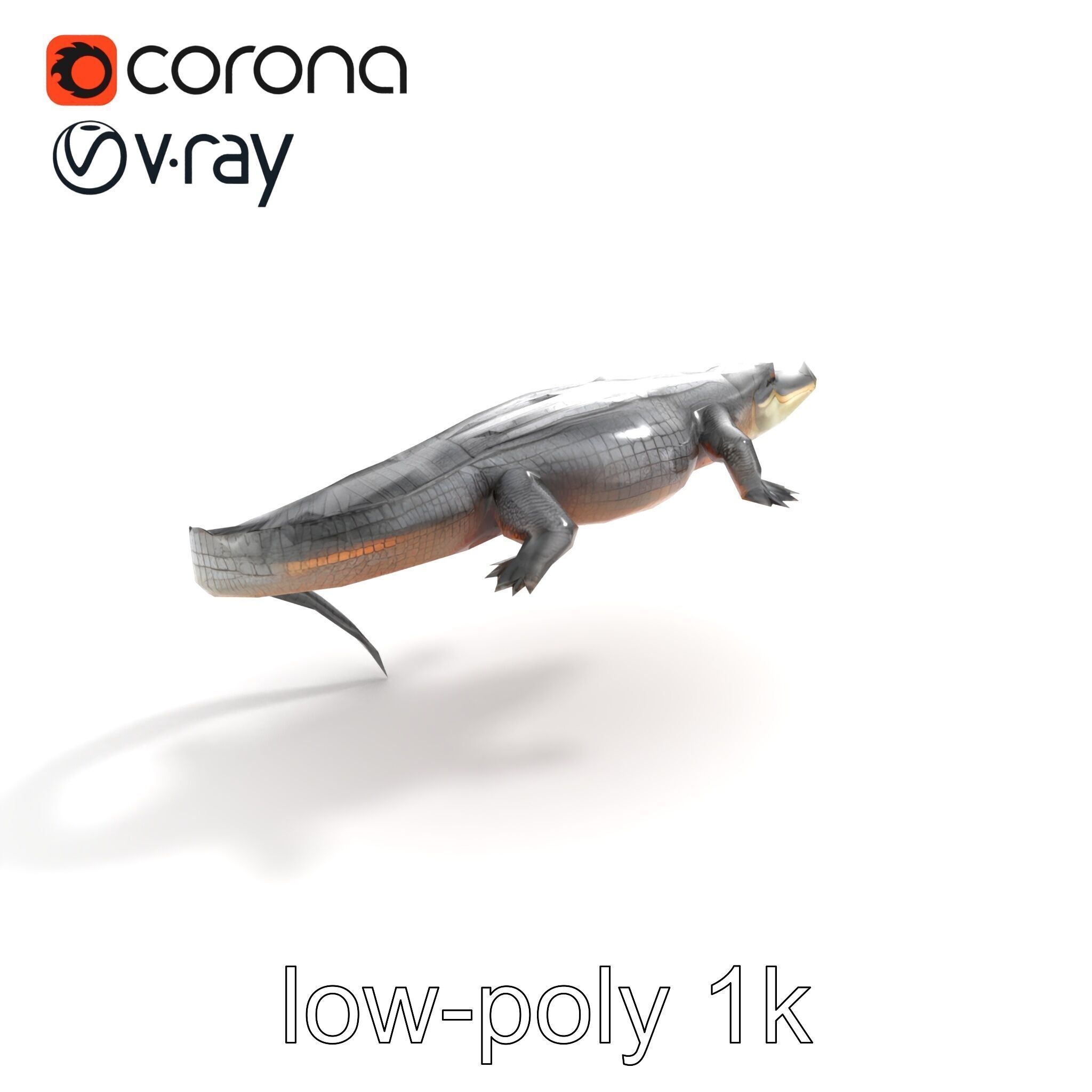 Nile Crocodile Detailed Scale Model Pack Low-poly 3D model_9