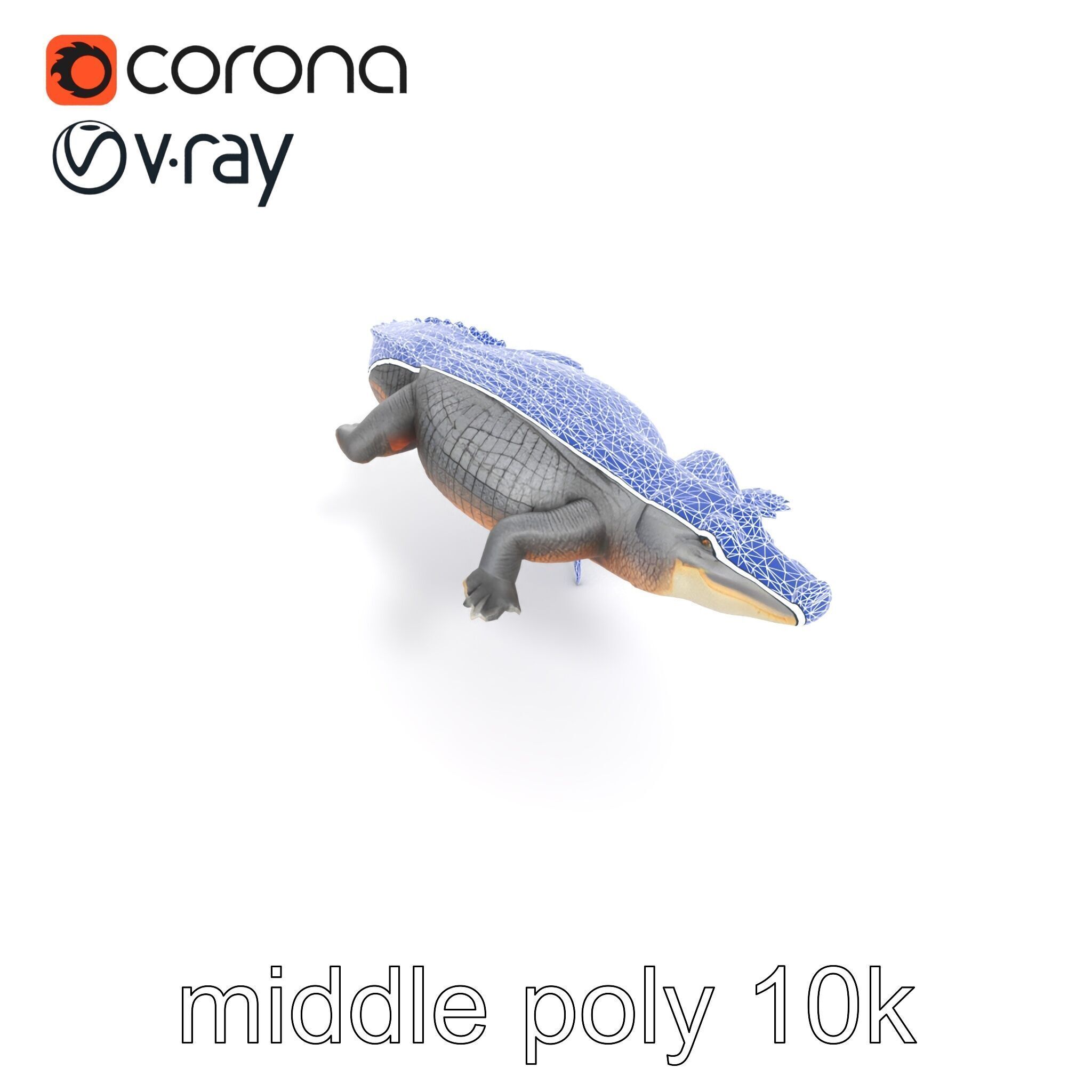 Nile Crocodile Detailed Scale Model Pack Low-poly 3D model_18