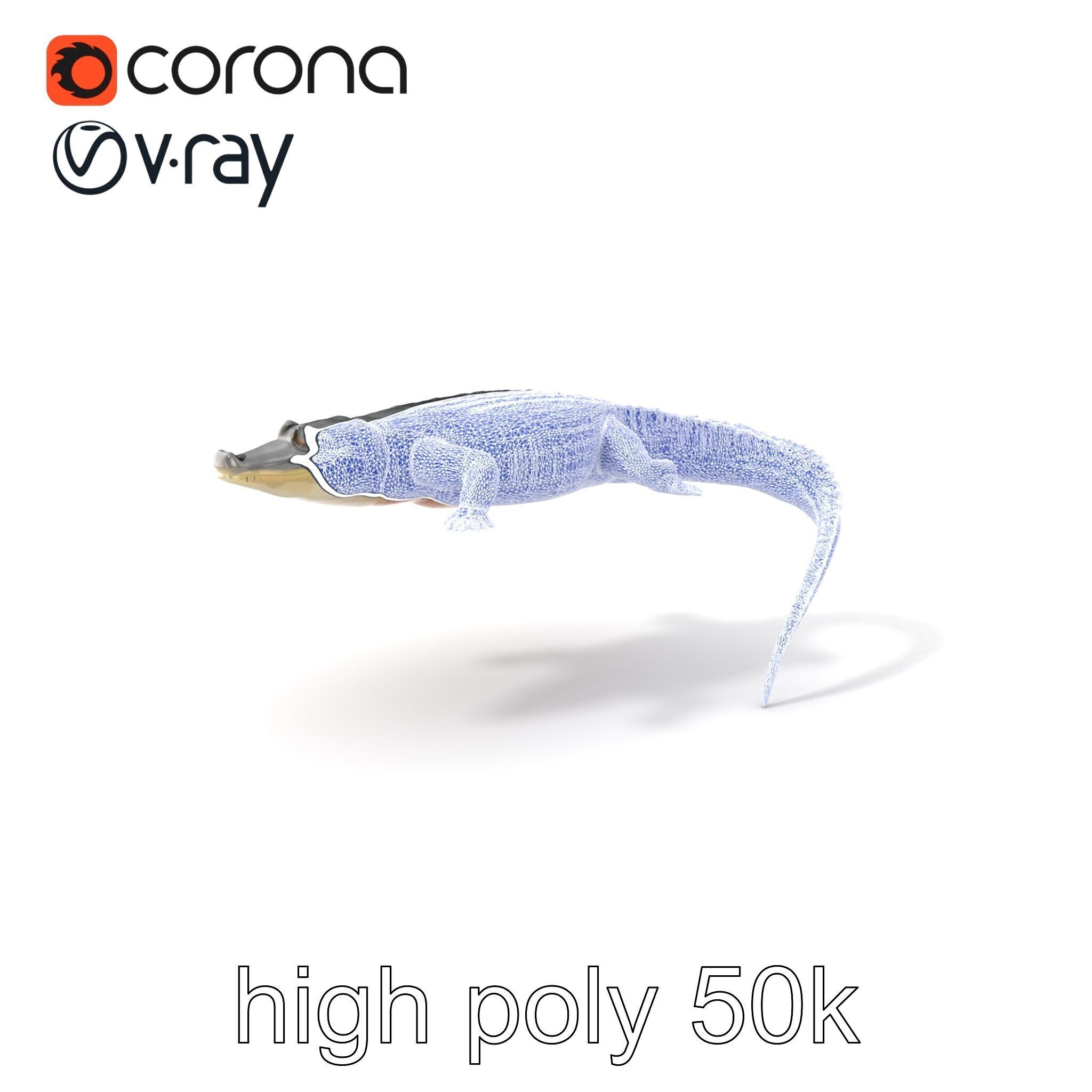 Nile Crocodile Detailed Scale Model Pack Low-poly 3D model_10