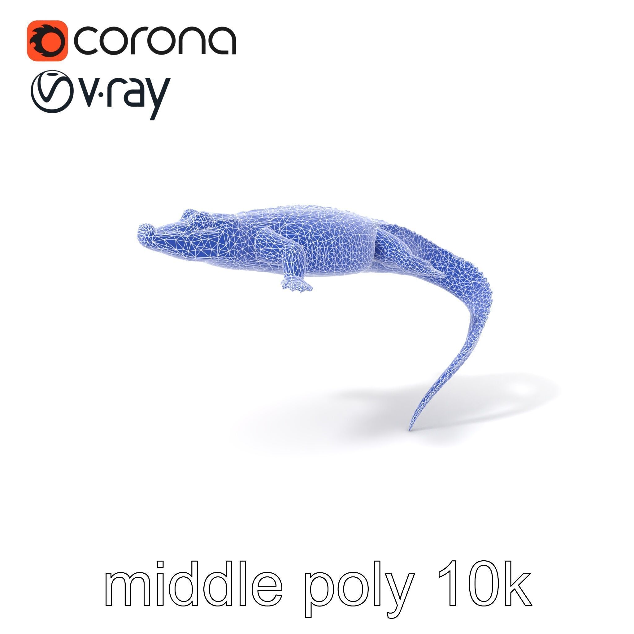 Nile Crocodile Detailed Scale Model Pack Low-poly 3D model_6