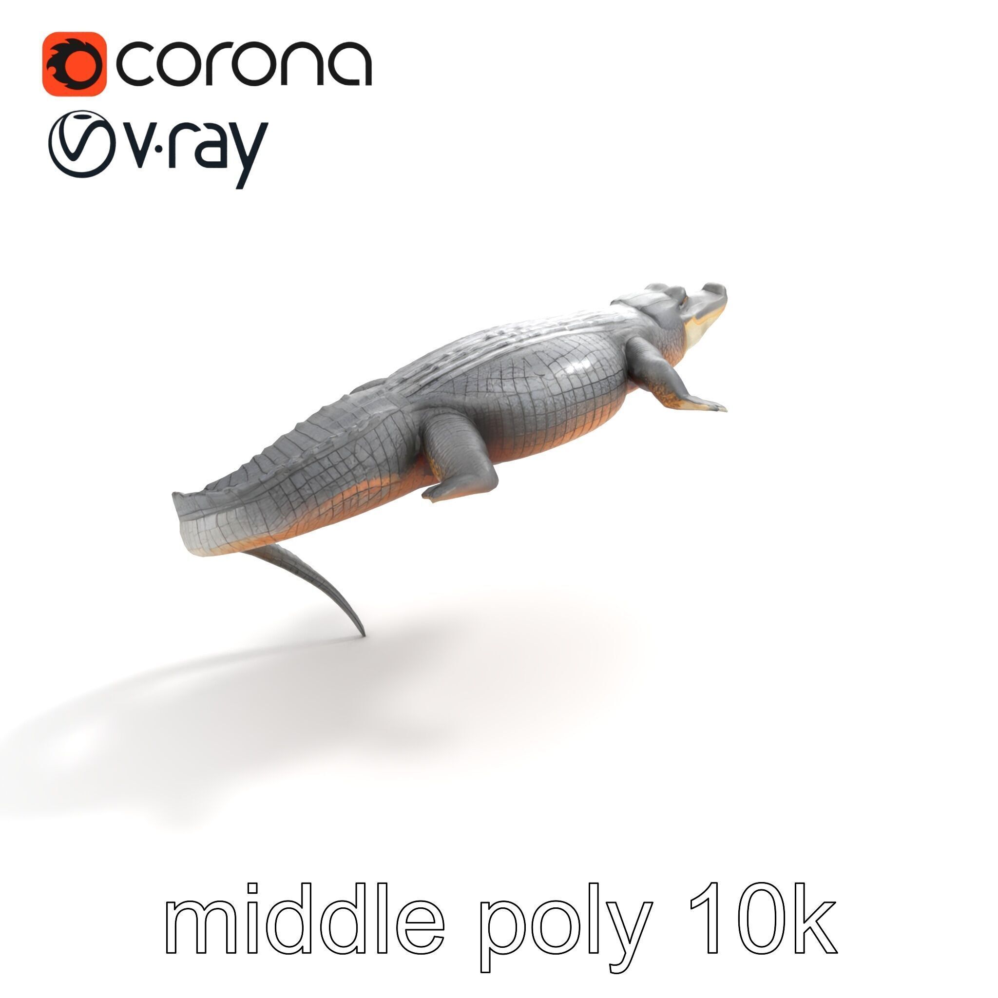 Nile Crocodile Detailed Scale Model Pack Low-poly 3D model_8