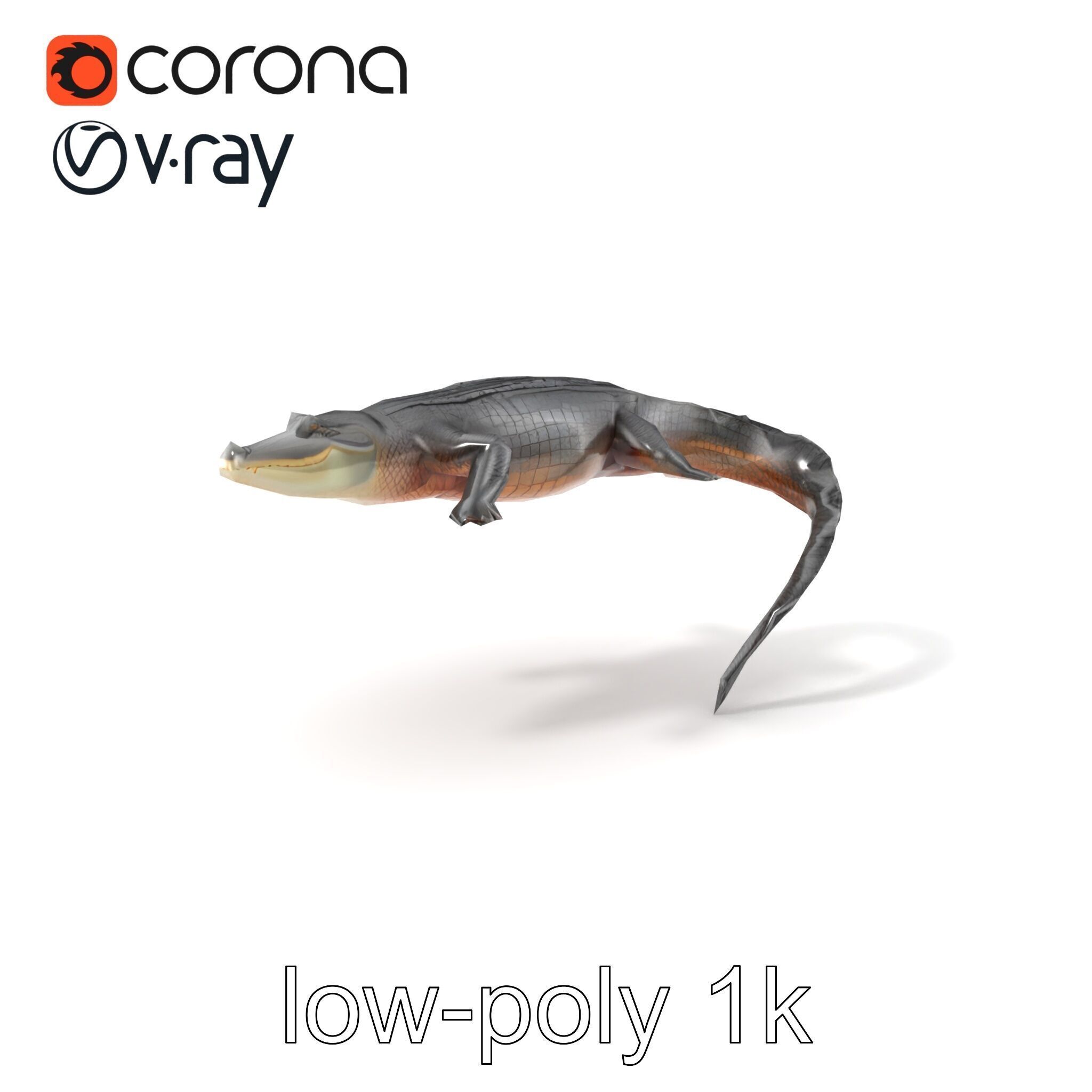 Nile Crocodile Detailed Scale Model Pack Low-poly 3D model_5