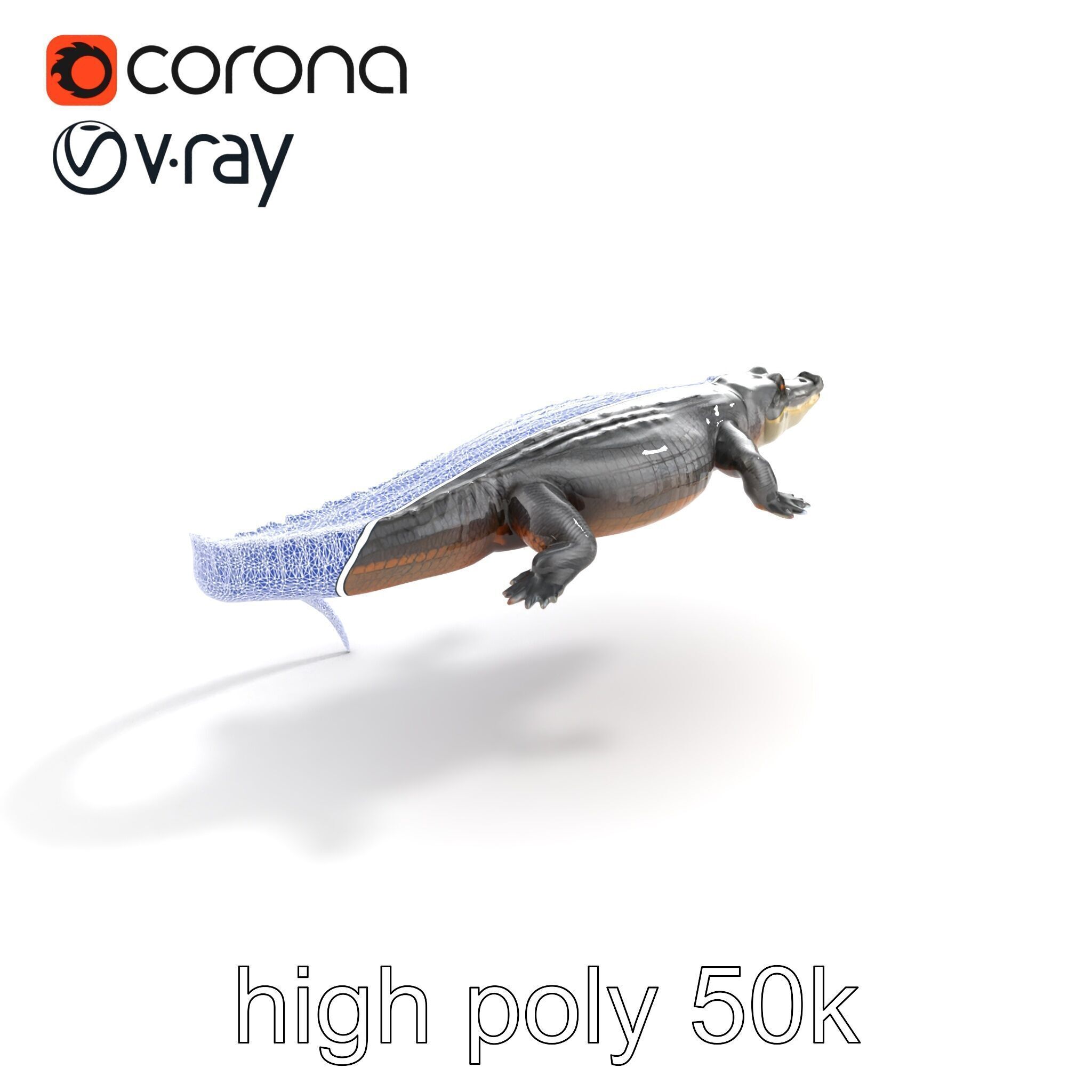 Nile Crocodile Detailed Scale Model Pack Low-poly 3D model_30