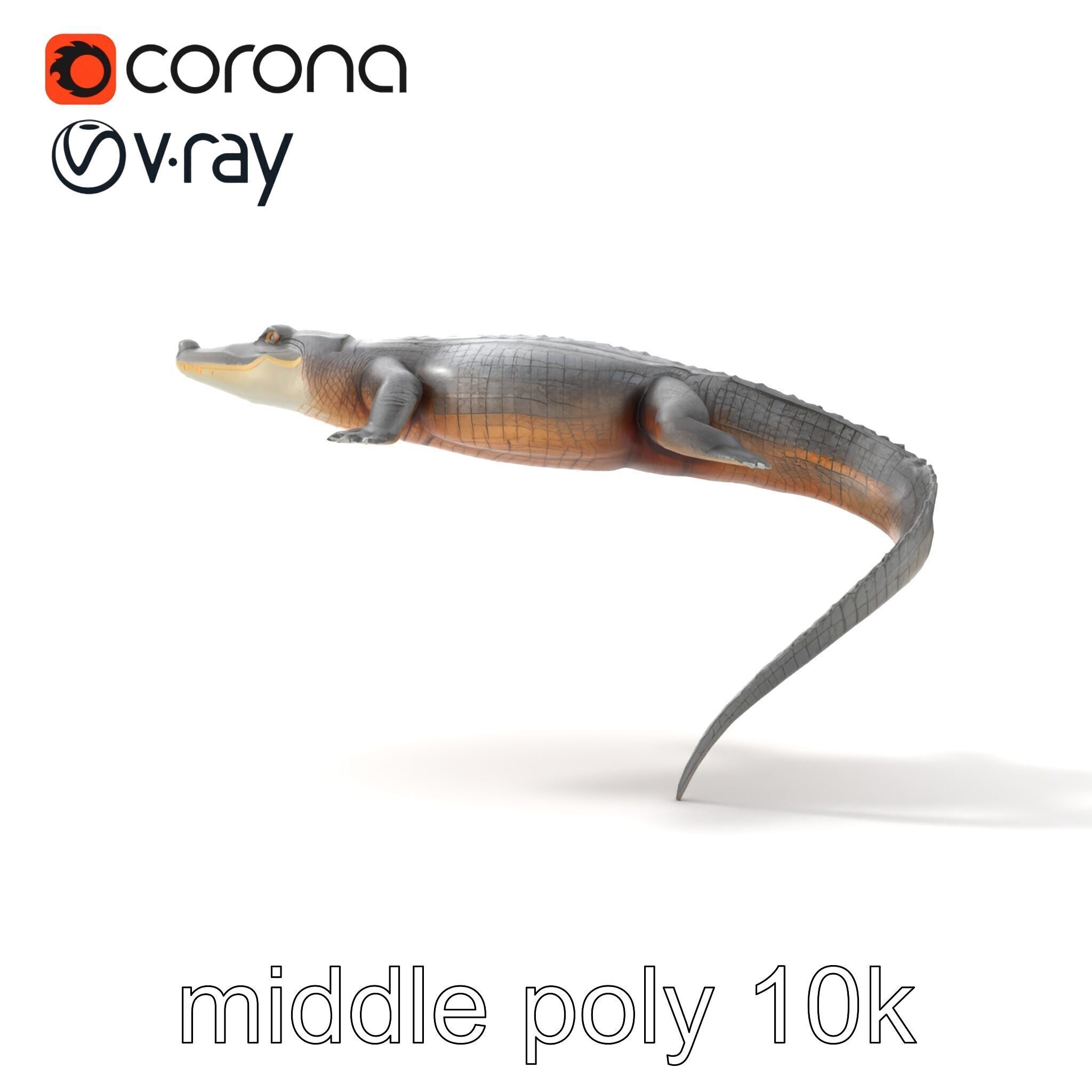 Nile Crocodile Detailed Scale Model Pack Low-poly 3D model_29