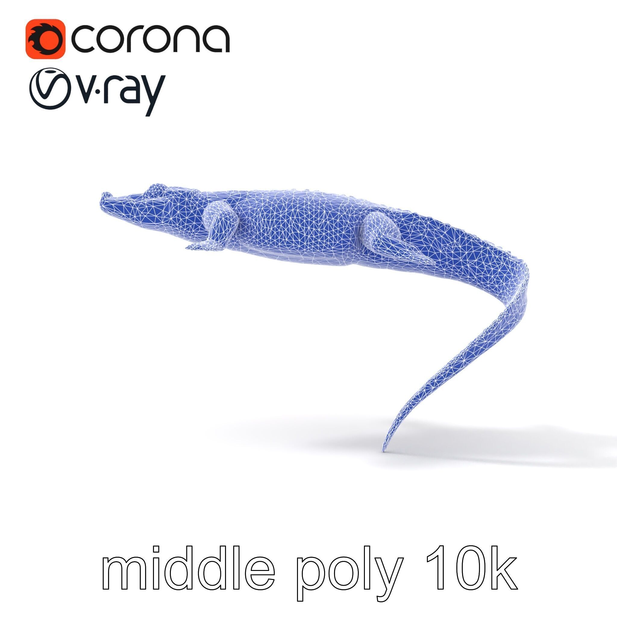 Nile Crocodile Detailed Scale Model Pack Low-poly 3D model_13