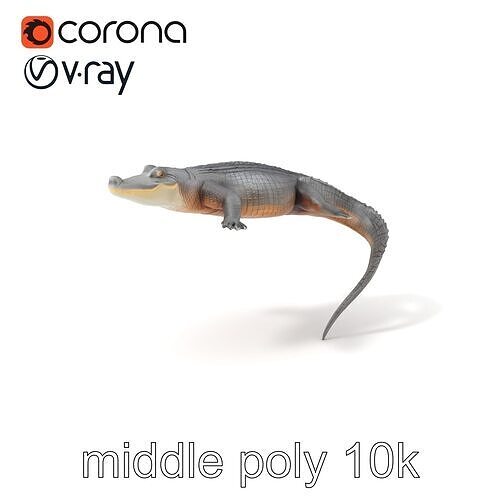 Nile Crocodile Detailed Scale Model Pack Low-poly 3D model