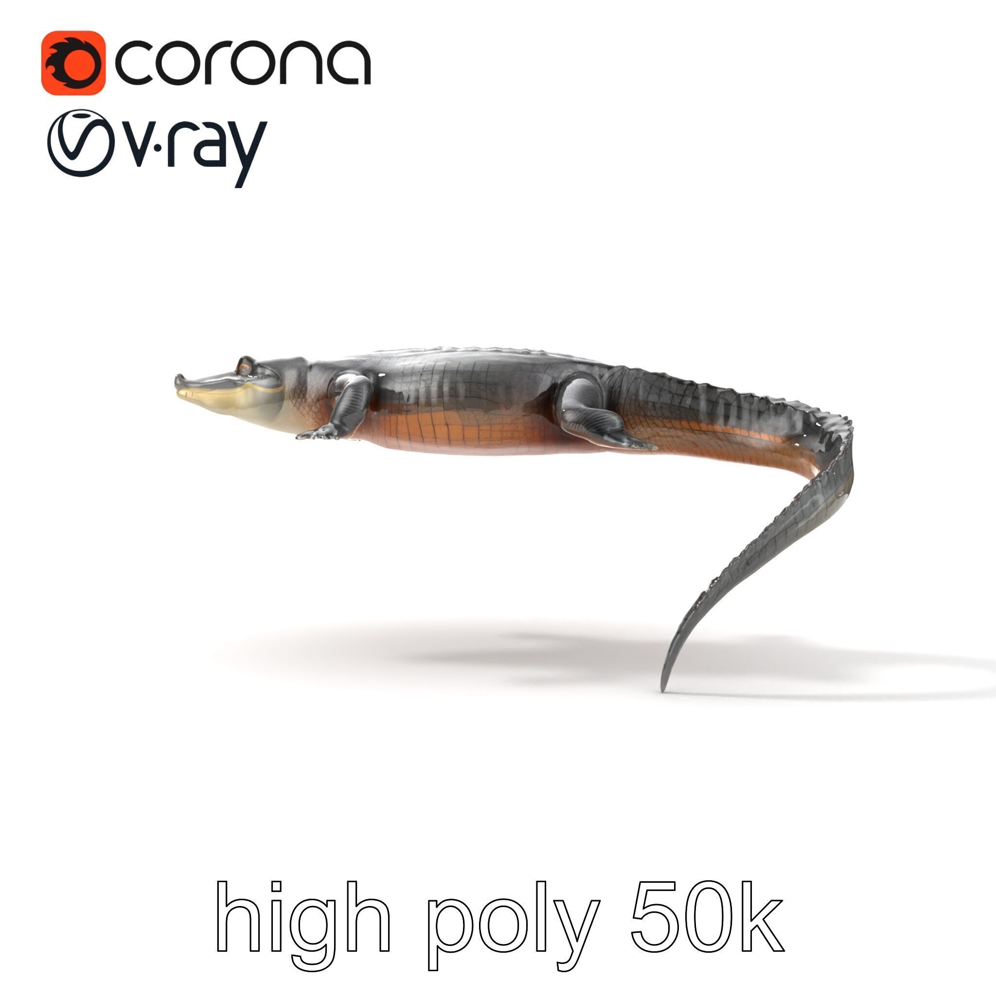 Nile Crocodile Detailed Scale Model Pack Low-poly 3D model_24