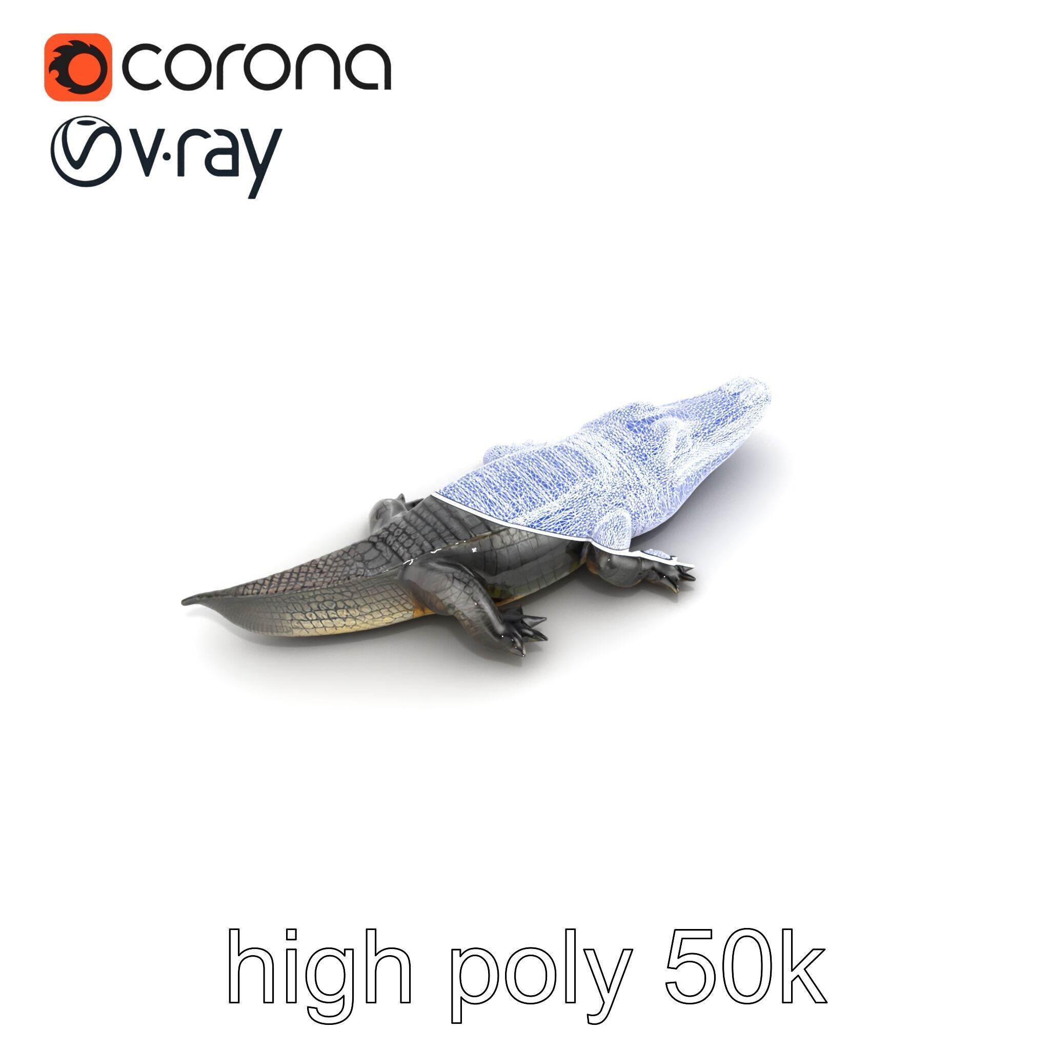 Chinese Alligator Detailed Scale Texture model pack Low-poly 3D model_25