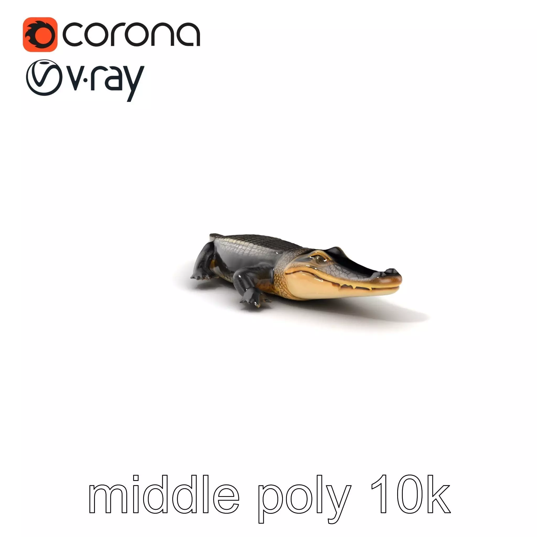 Chinese Alligator Detailed Scale Texture model pack Low-poly 3D model_0