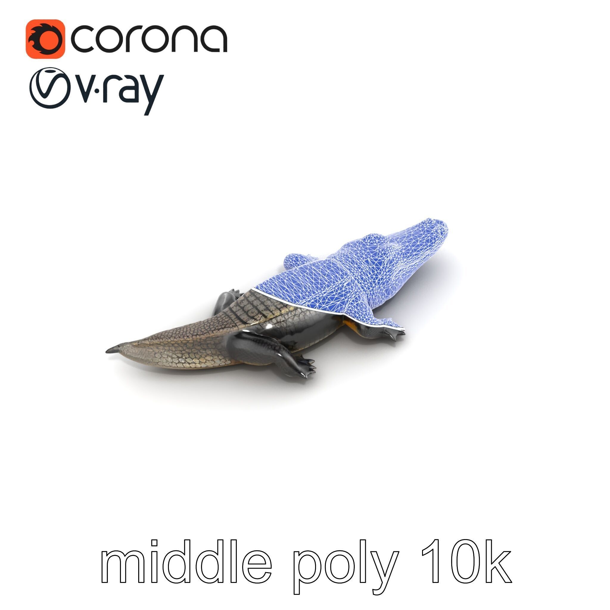 Chinese Alligator Detailed Scale Texture model pack Low-poly 3D model_26