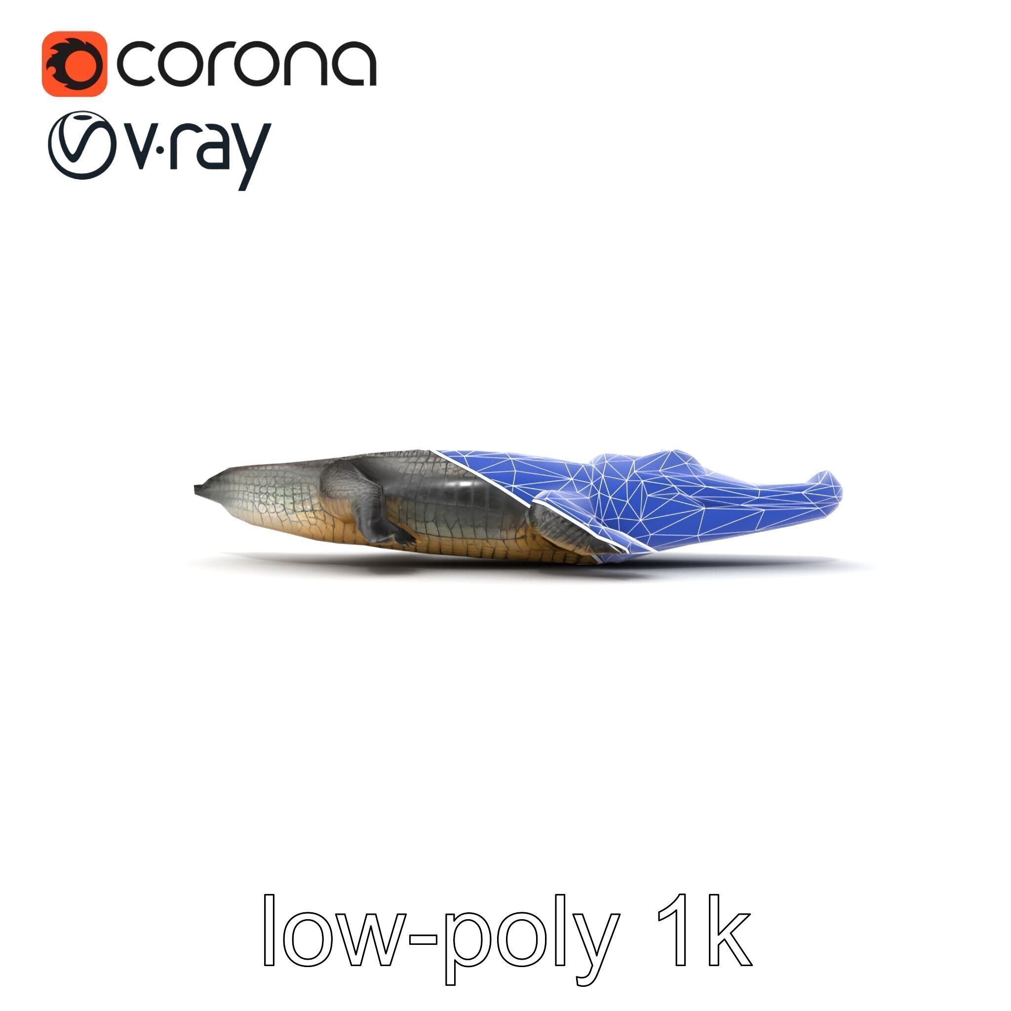 Chinese Alligator Detailed Scale Texture model pack Low-poly 3D model_20