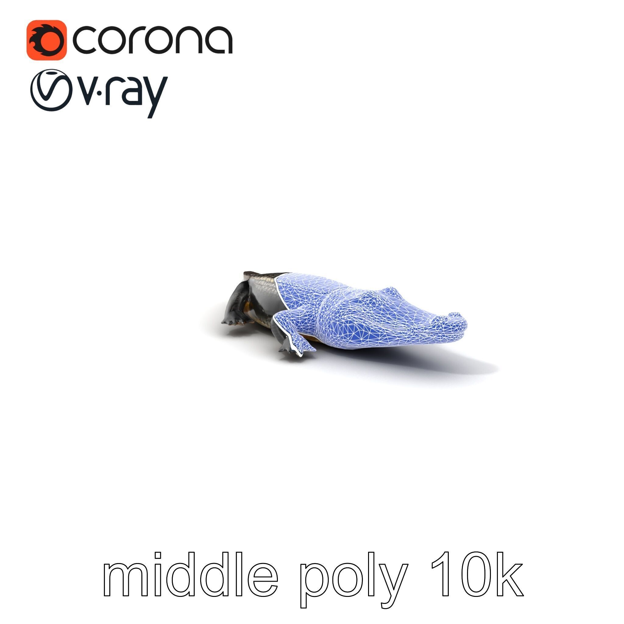 Chinese Alligator Detailed Scale Texture model pack Low-poly 3D model_6