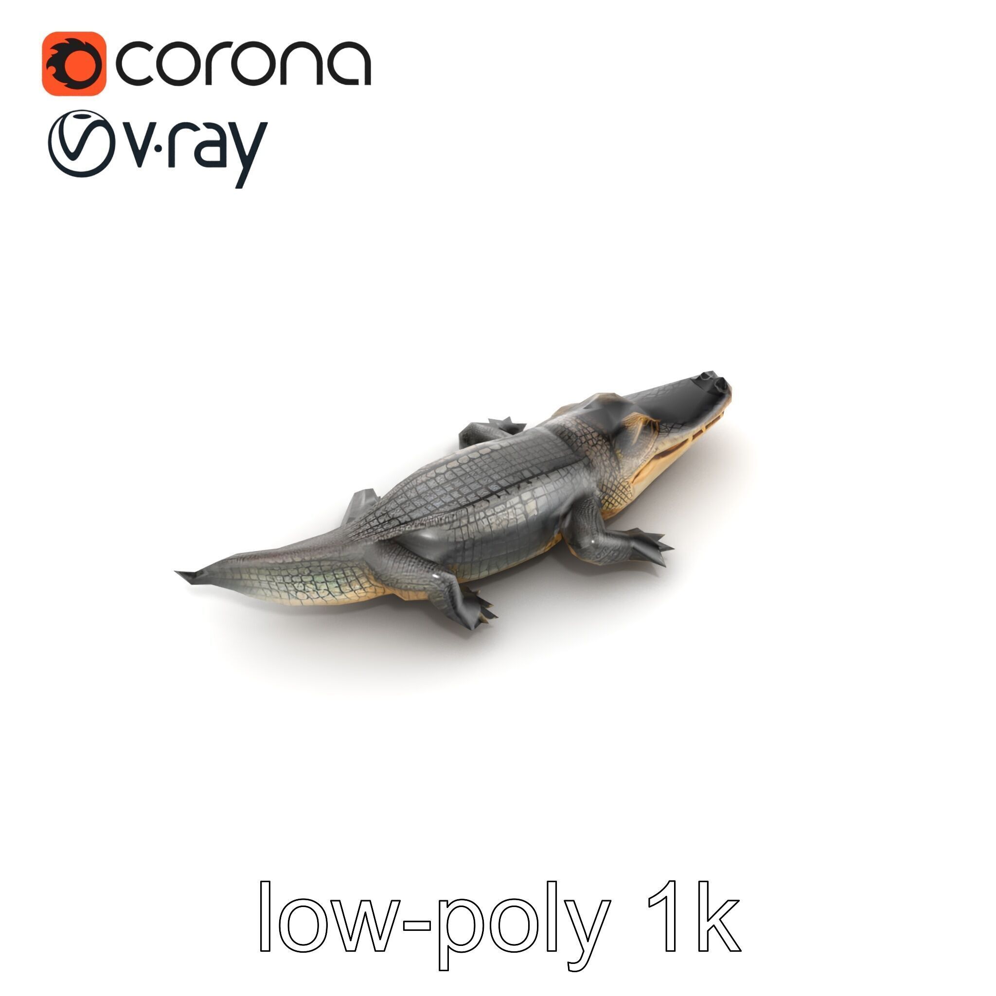 Chinese Alligator Detailed Scale Texture model pack Low-poly 3D model_13