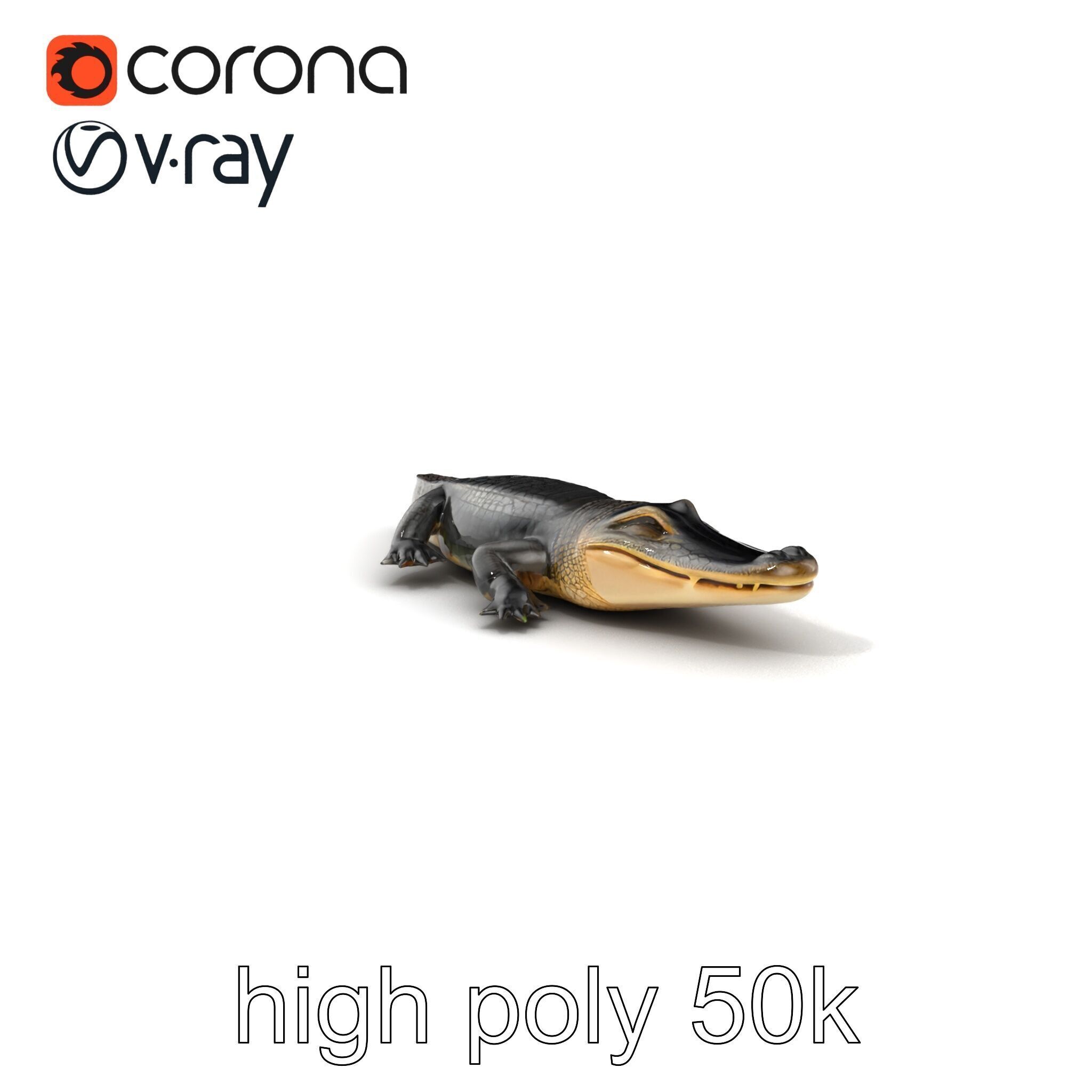 Chinese Alligator Detailed Scale Texture model pack Low-poly 3D model_2