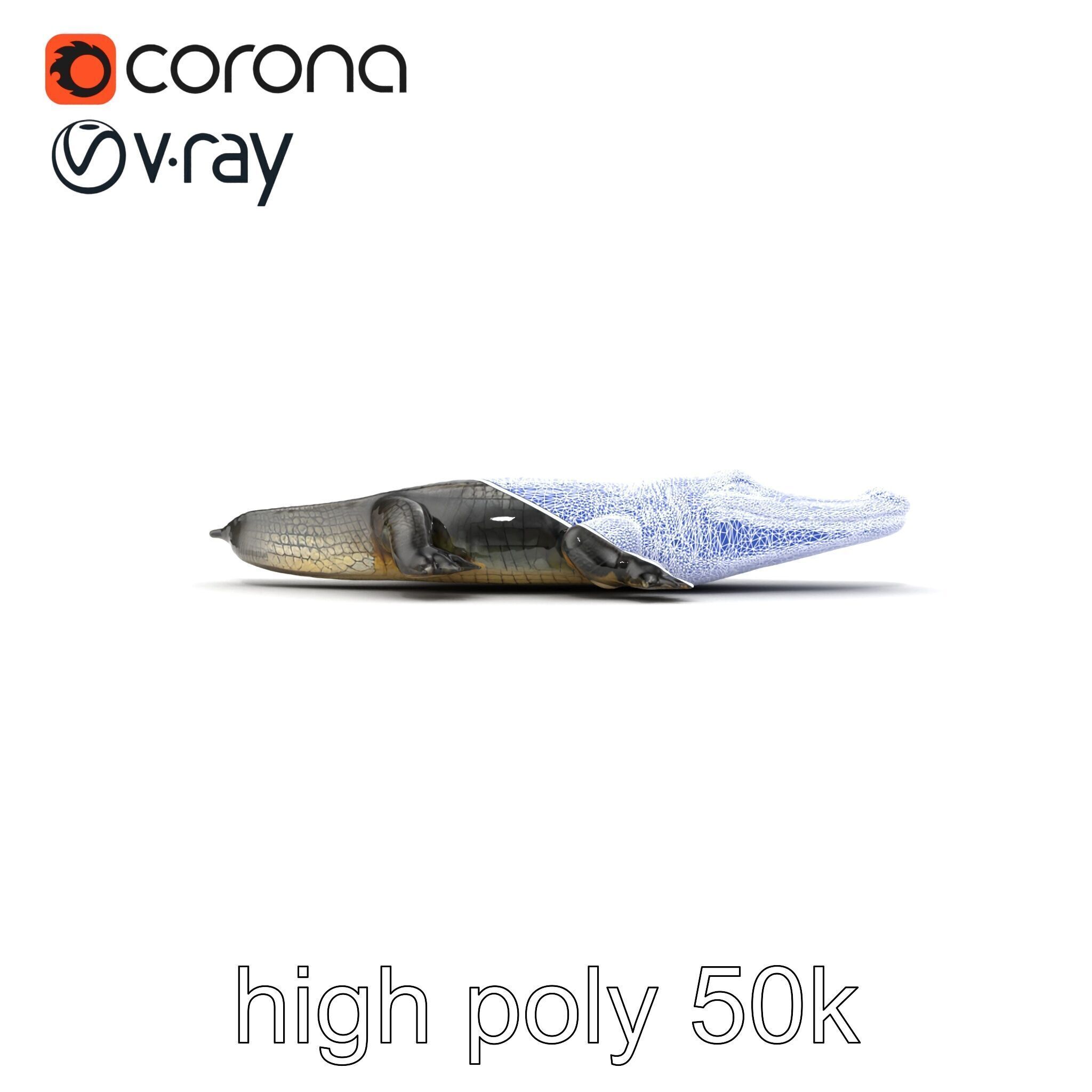 Chinese Alligator Detailed Scale Texture model pack Low-poly 3D model_19