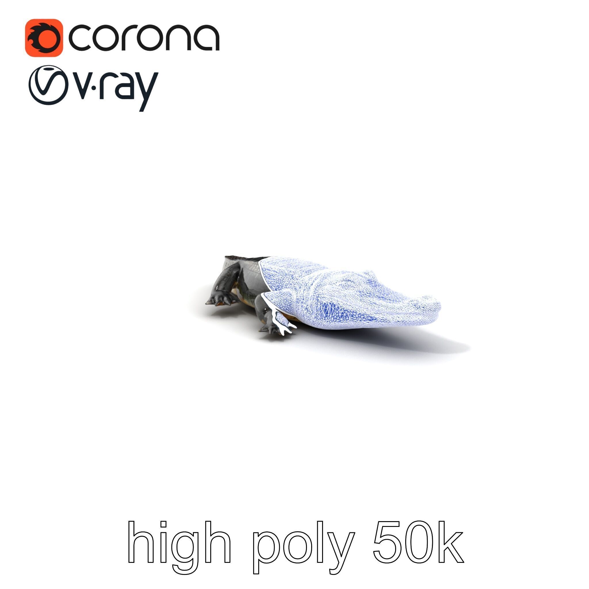 Chinese Alligator Detailed Scale Texture model pack Low-poly 3D model_10