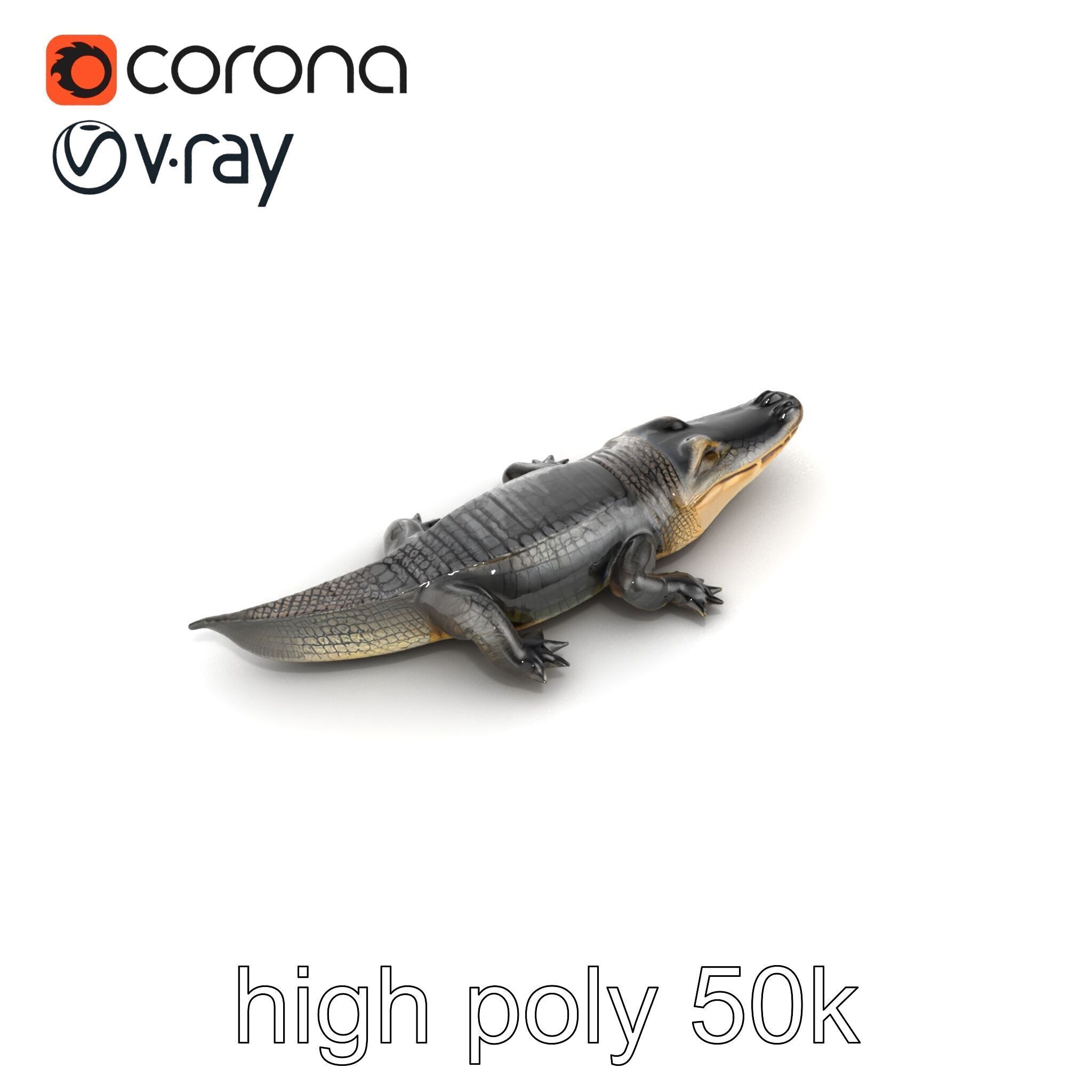 Chinese Alligator Detailed Scale Texture model pack Low-poly 3D model_11