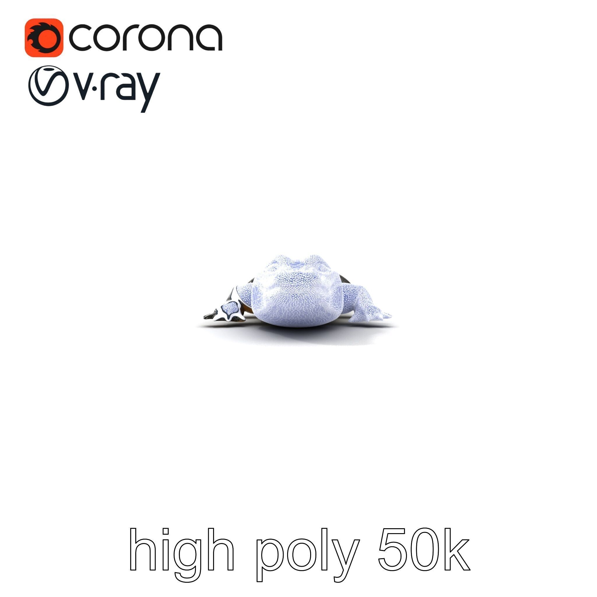 Chinese Alligator Detailed Scale Texture model pack Low-poly 3D model_27